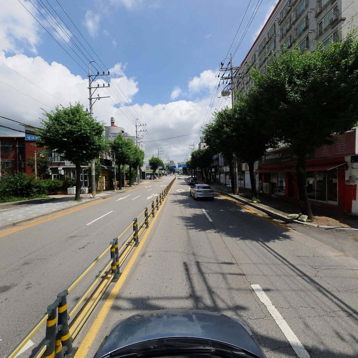 세화관광여행사_4