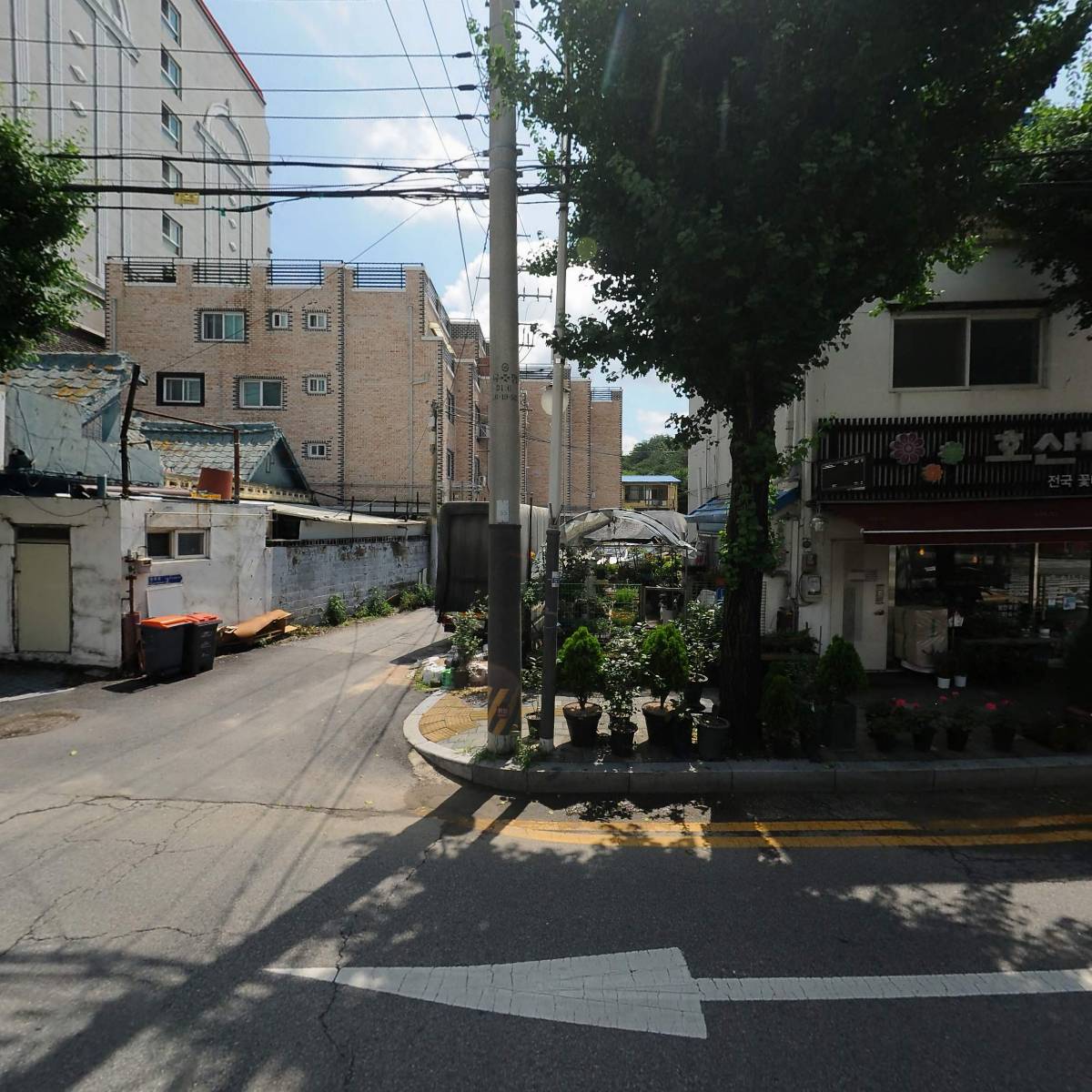 세화관광여행사