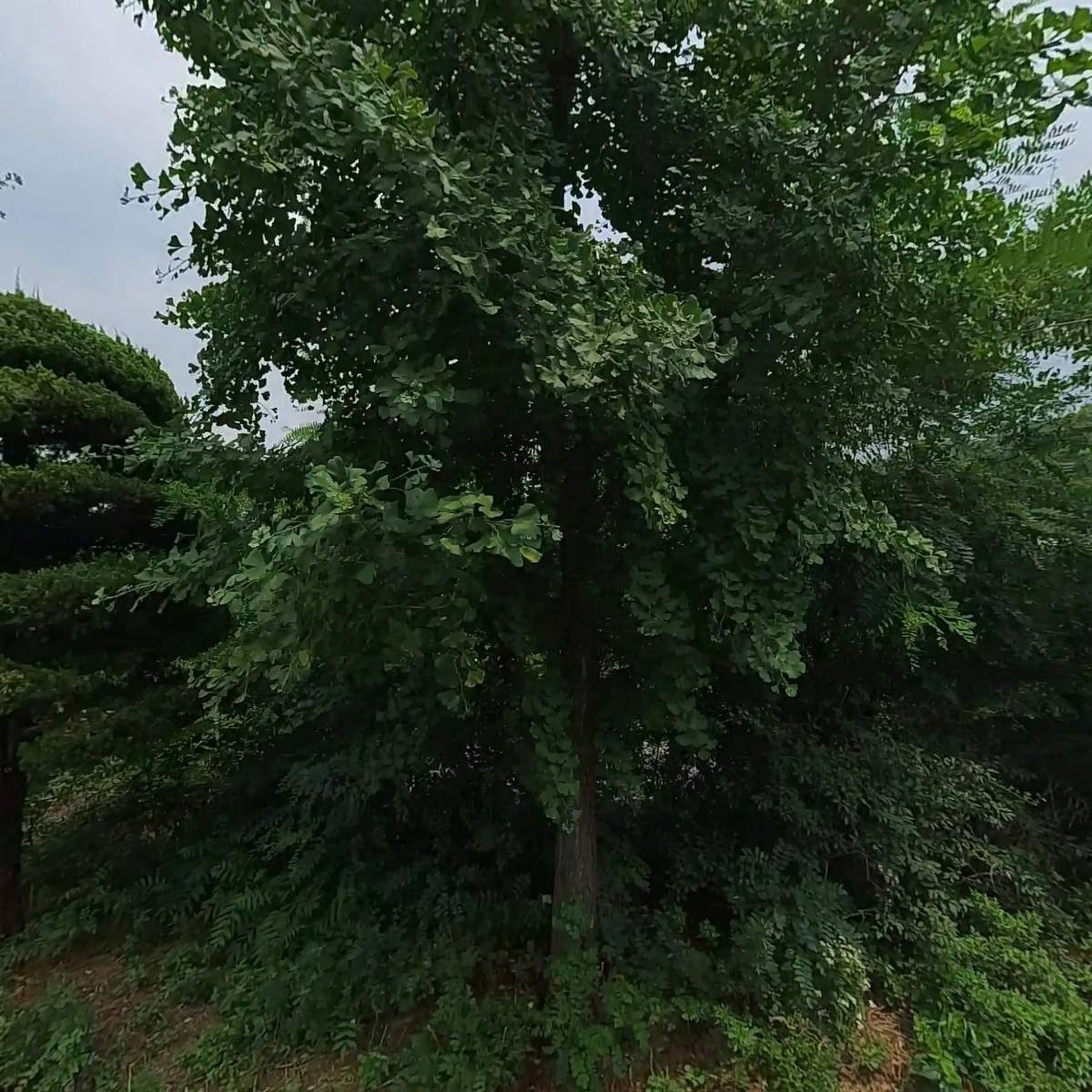 성지전자