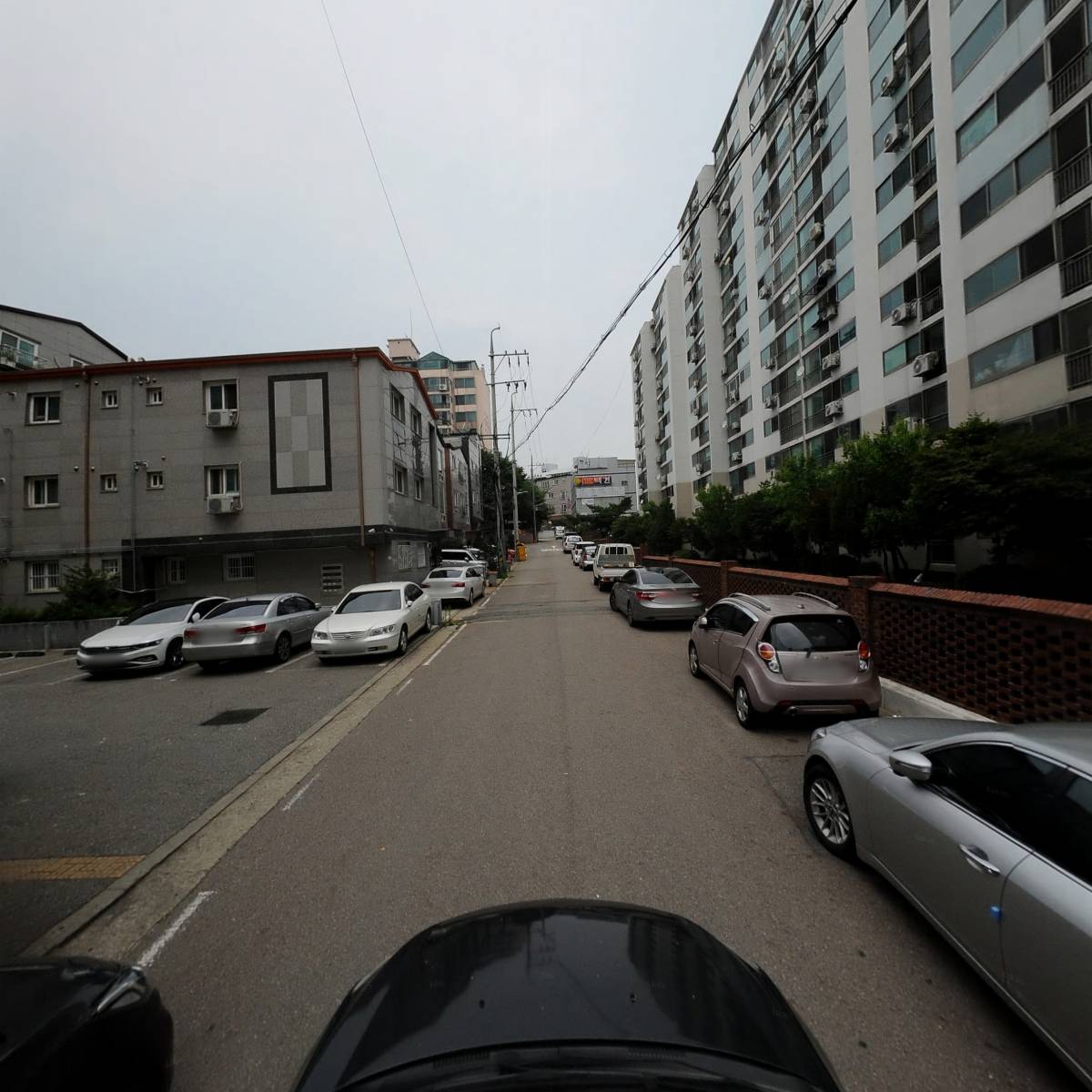 용인대스타복싱클럽_4