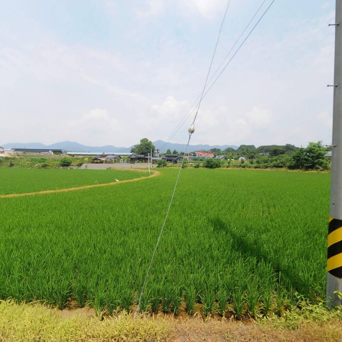 주식회사 배성