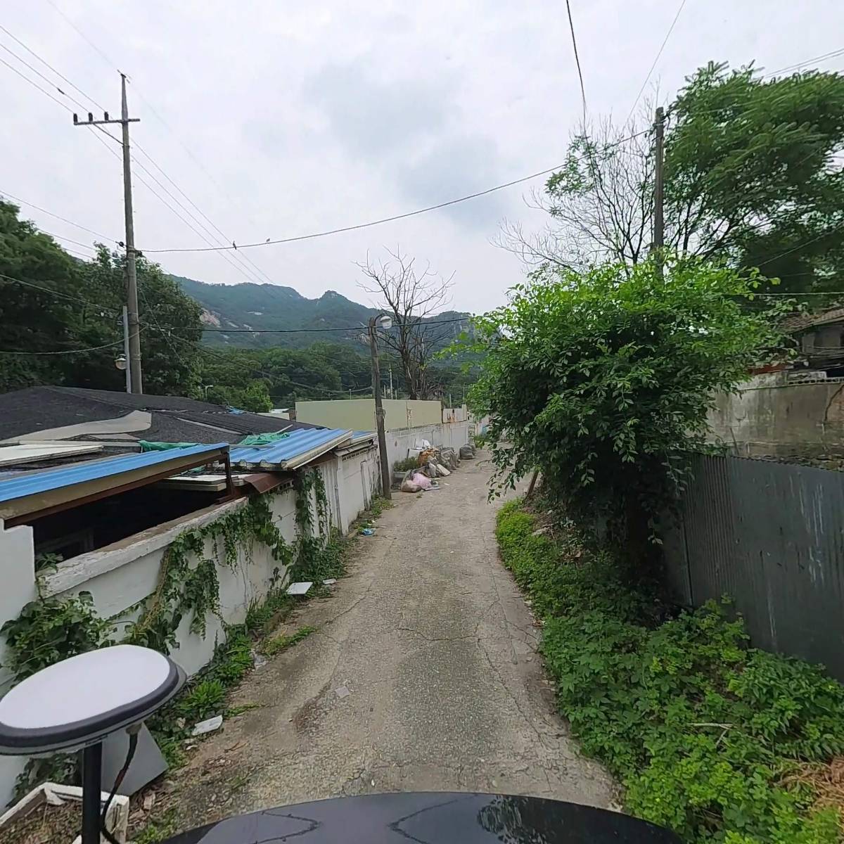 365향기치과의원_2