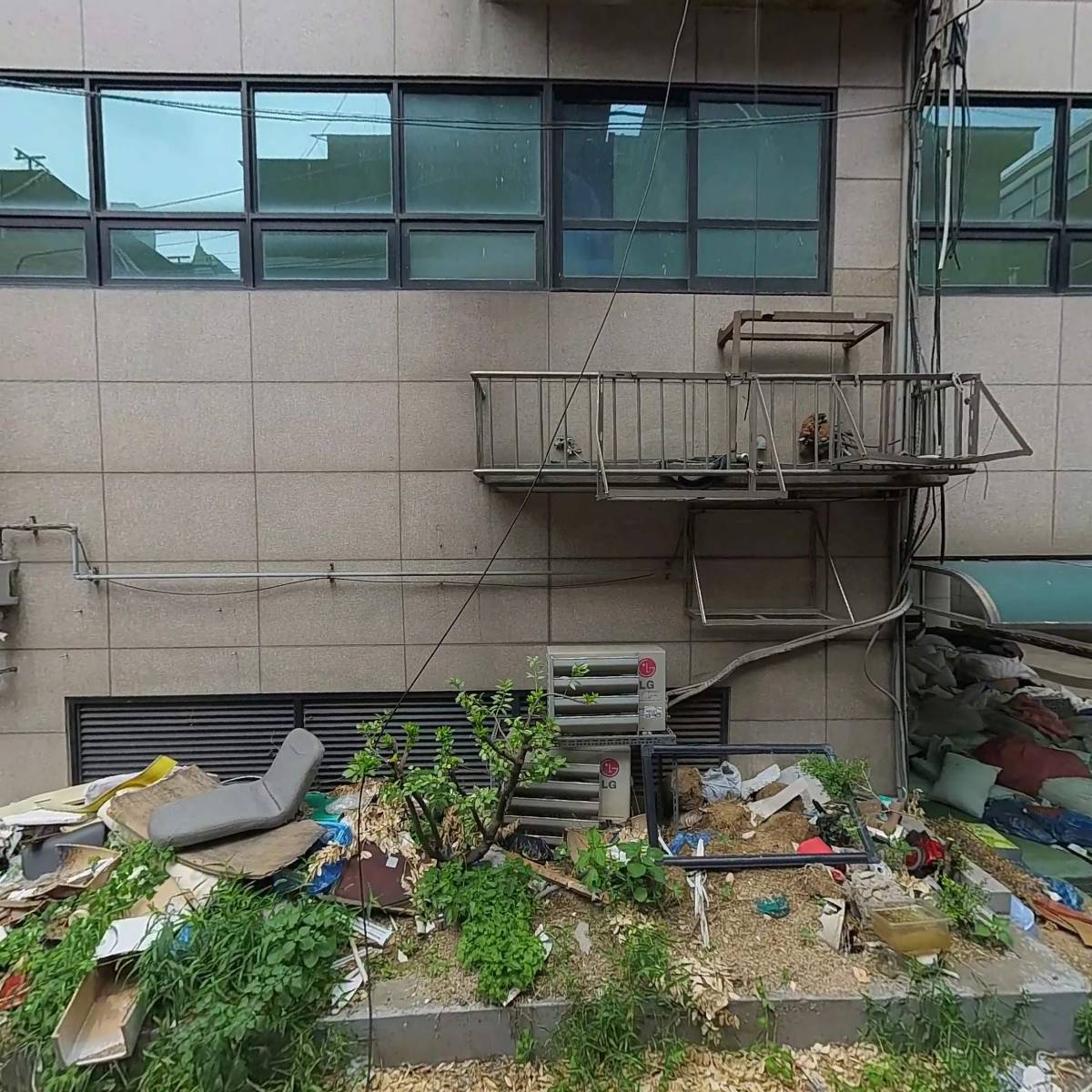 전주단지네_3