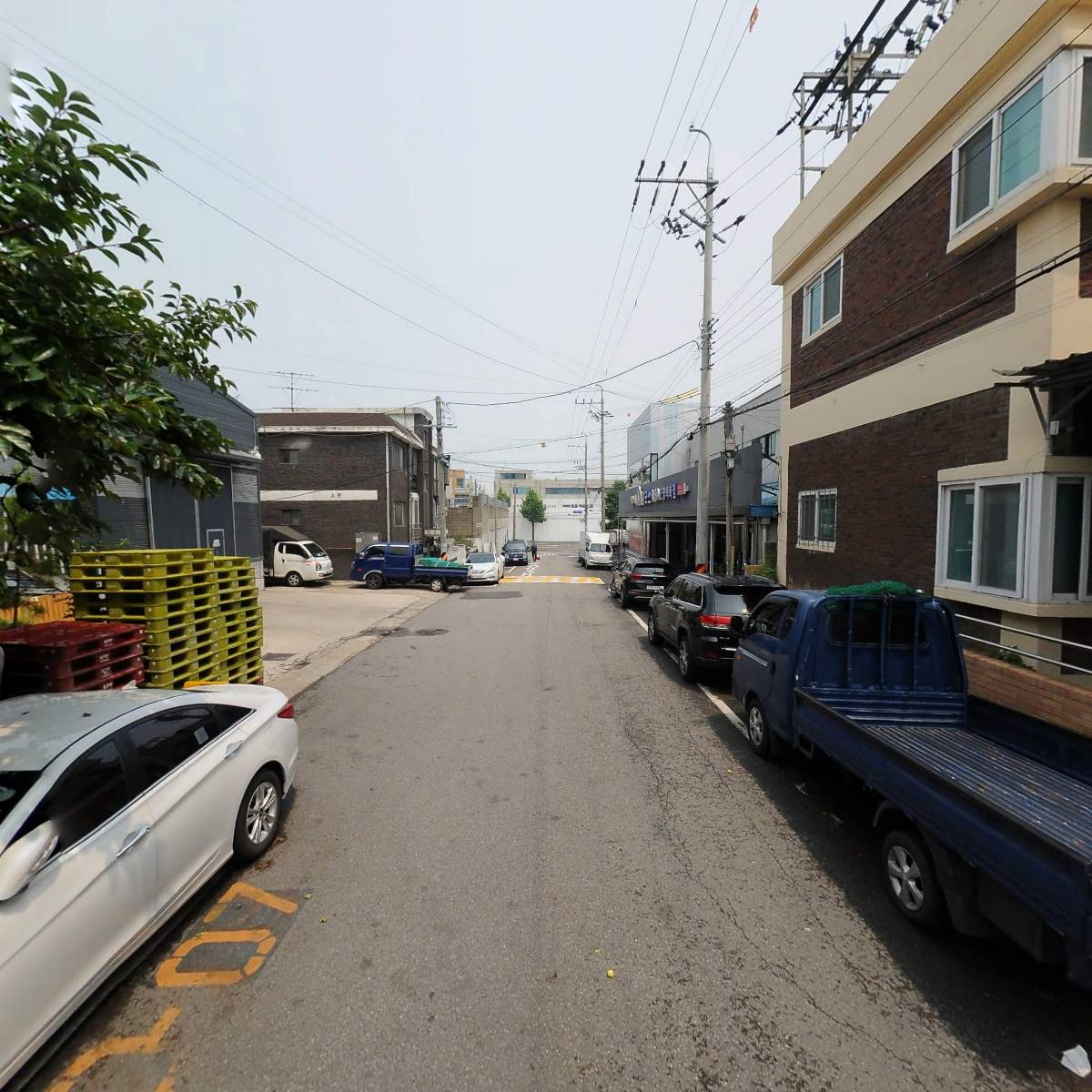 꿈꾸는고래_2