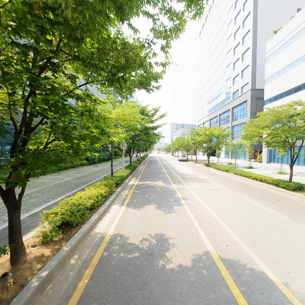 주식회사 디에스이_2