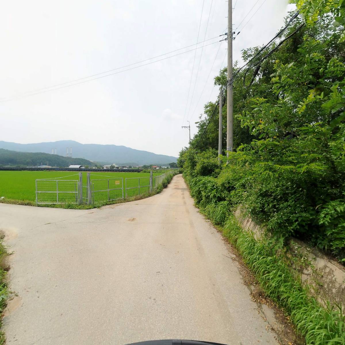 주식회사 숲속우산 농업회사법인_2