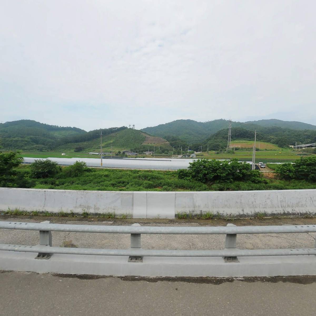 재영홍삼