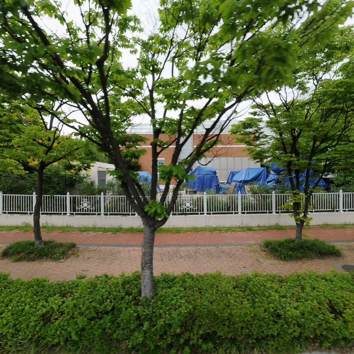 (주)바이넥스 송도공장