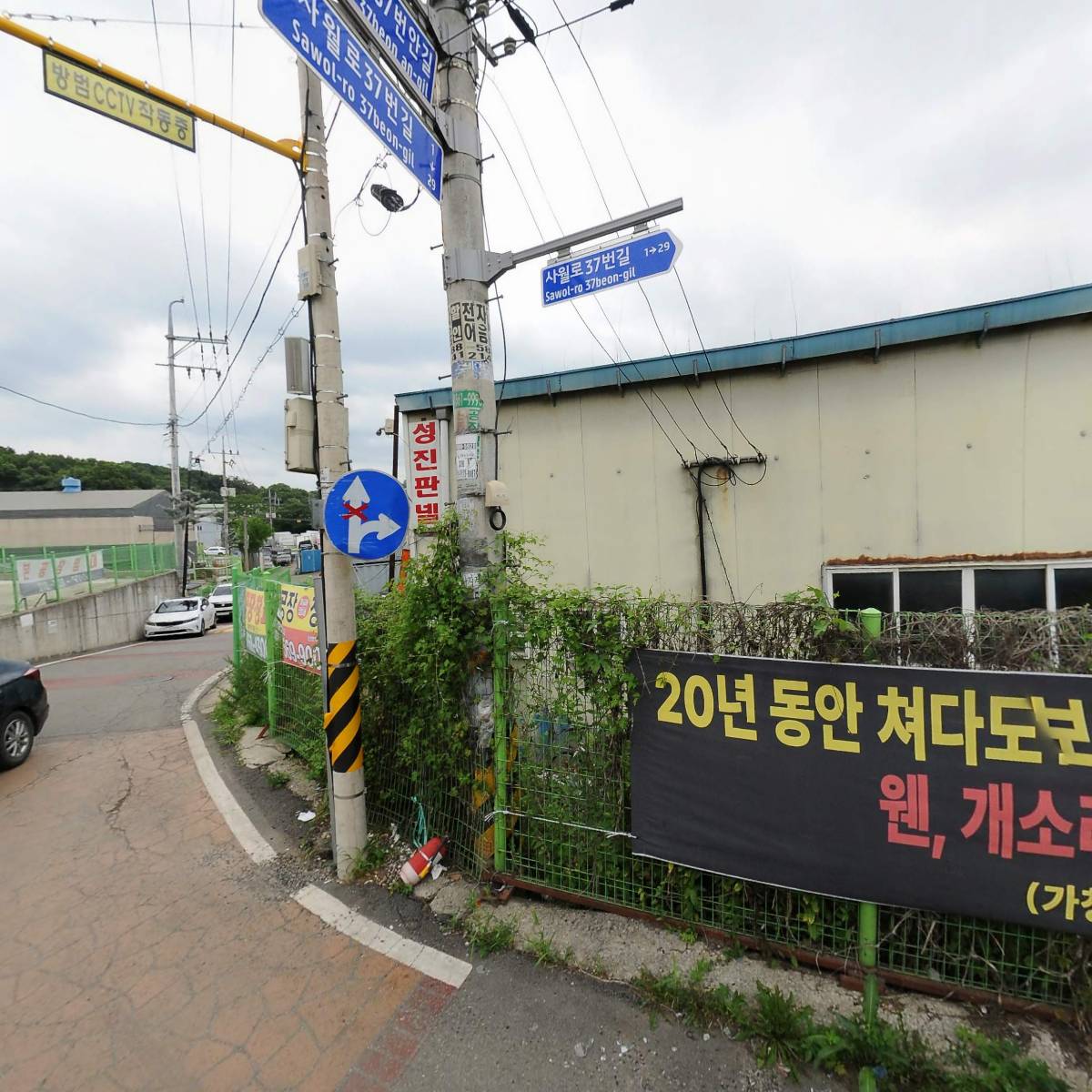 파라파라파라솔_3
