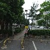 슈엔챠이_3