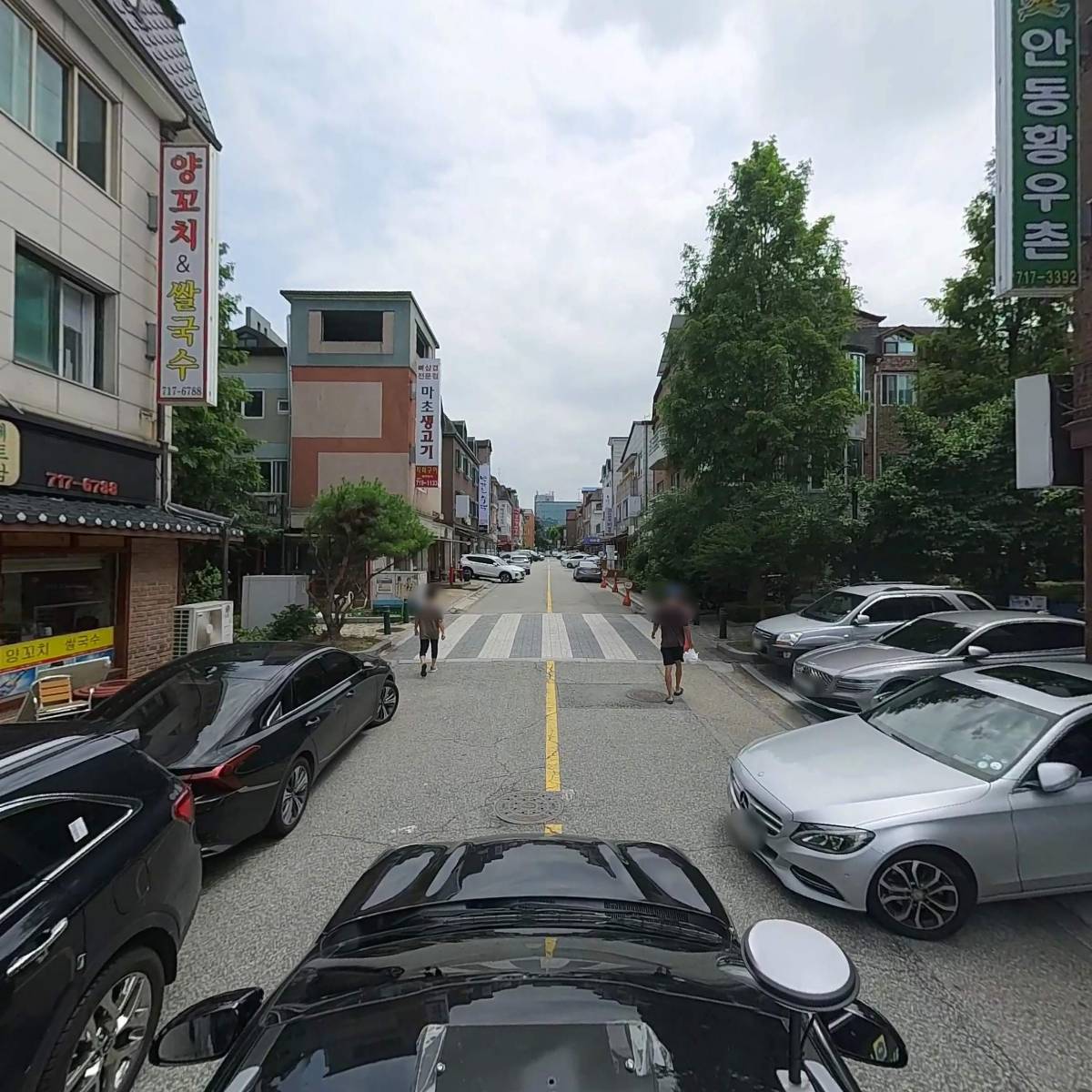 게코리움_4