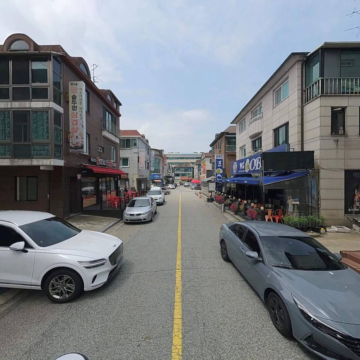 게코리움_2