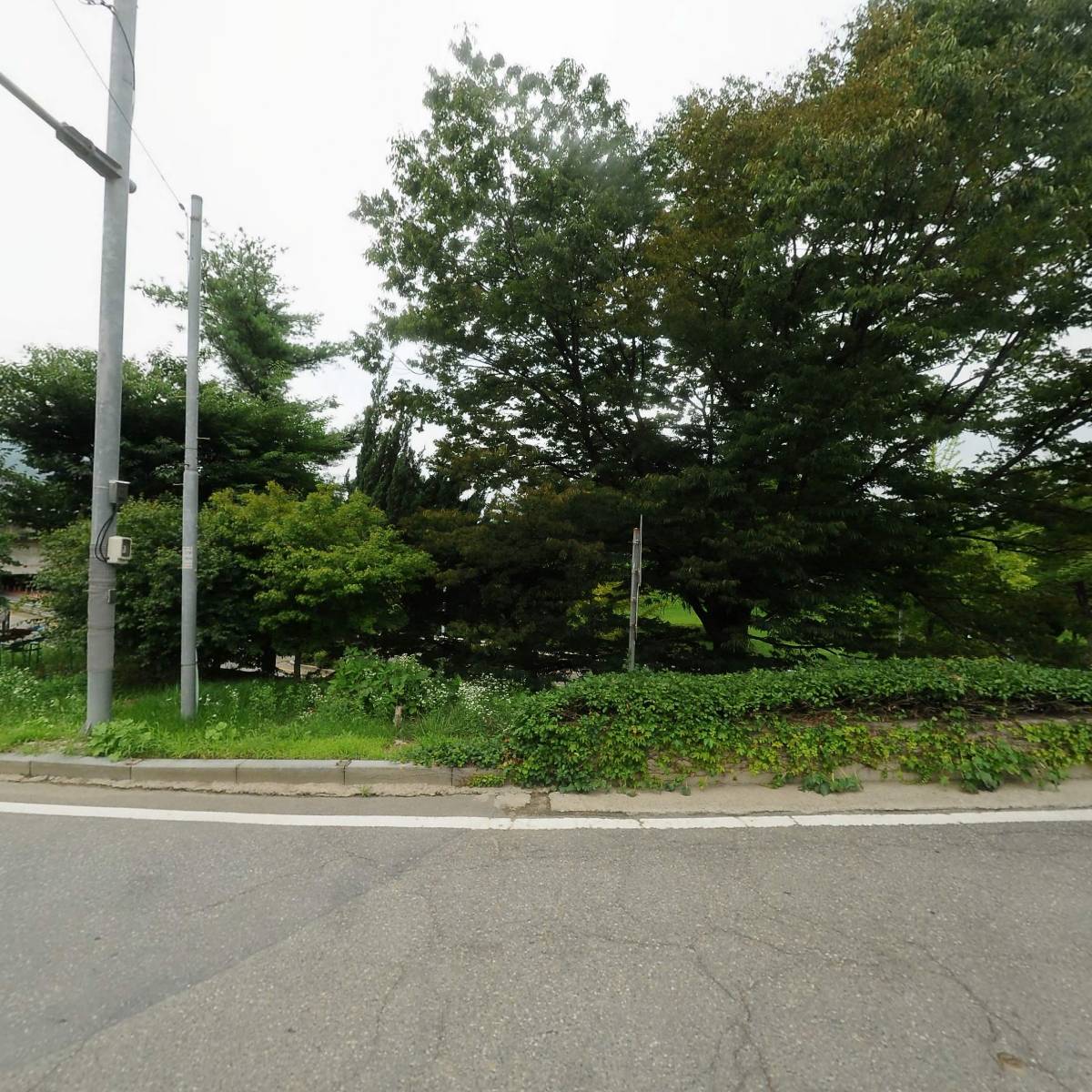 주식회사 바크(BARK)_3