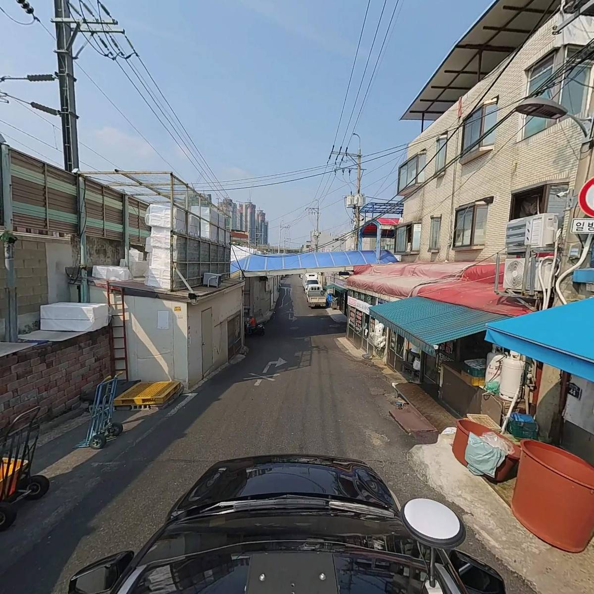 진백_4