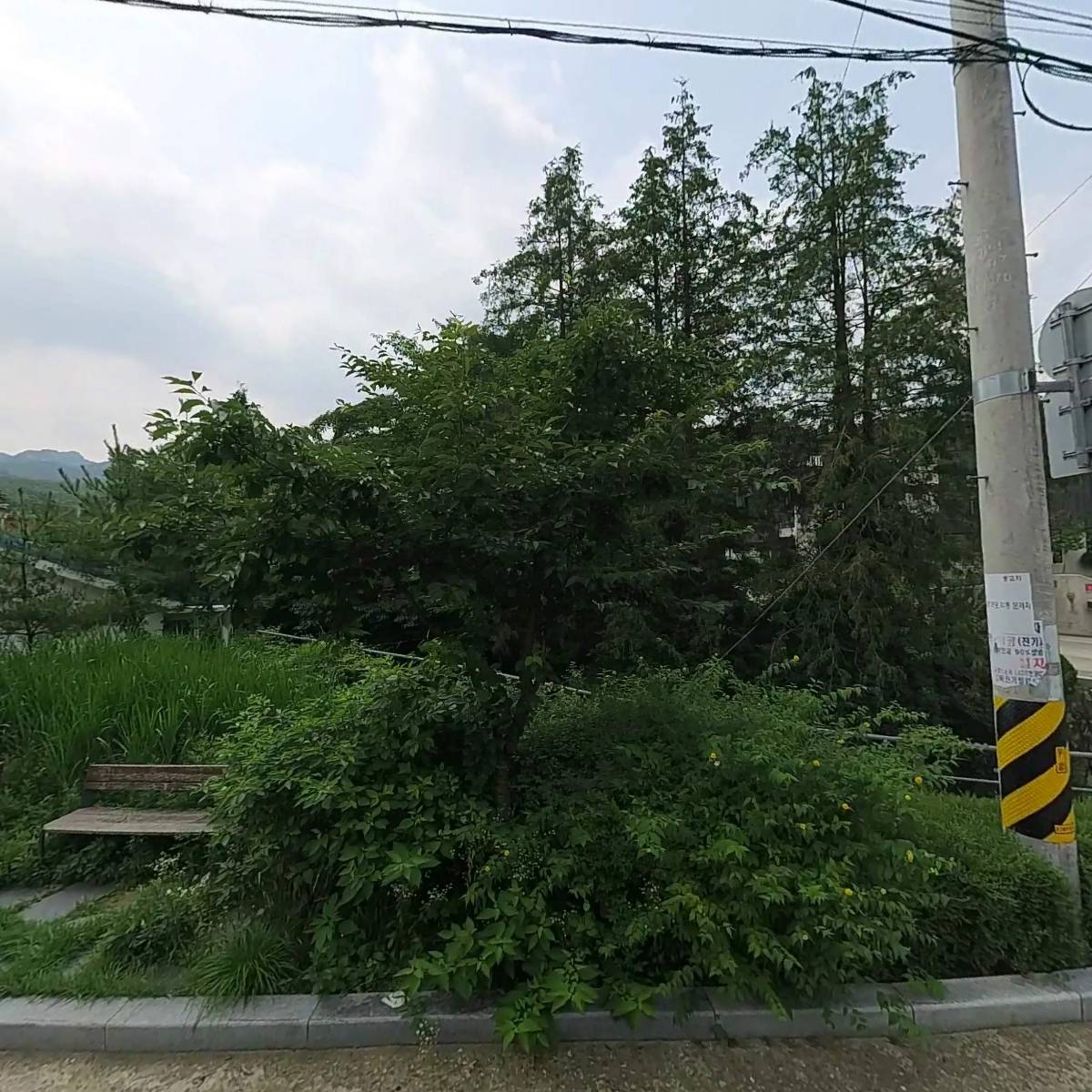꼬르띠레