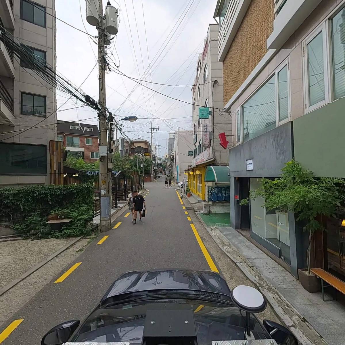 아홀로틀_4