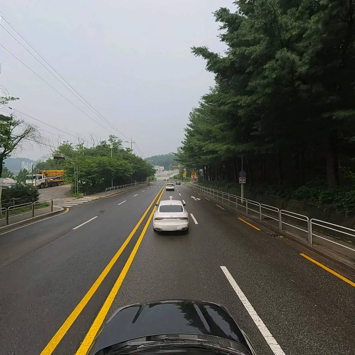 린디본즈_4