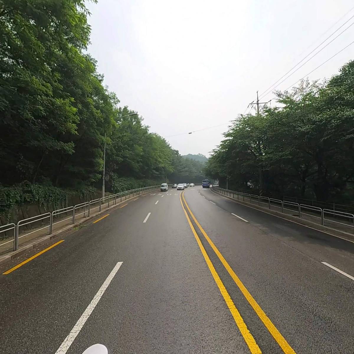 린디본즈_2