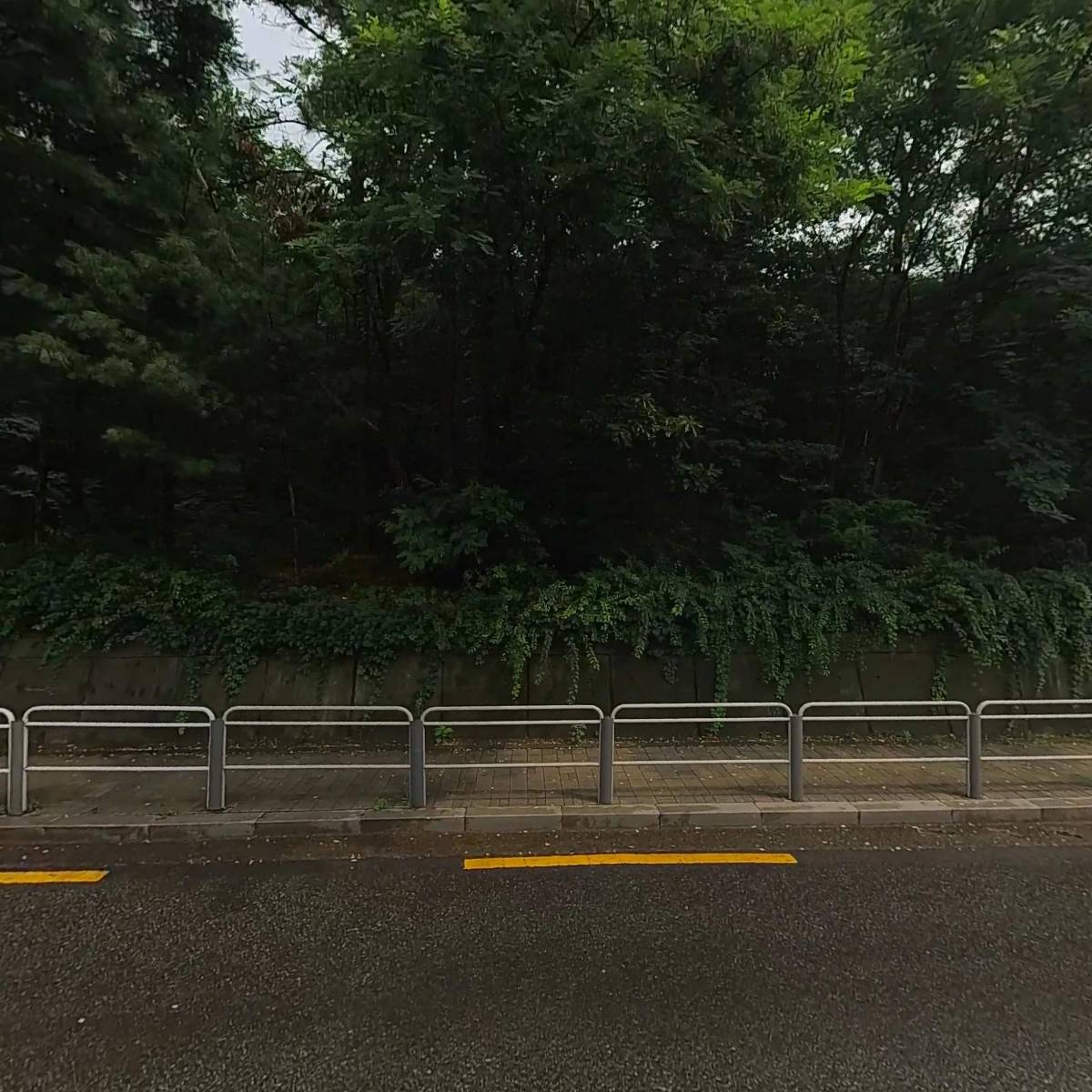 린디본즈
