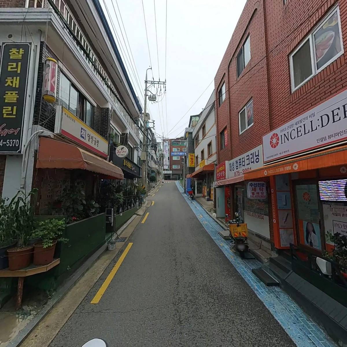 린디본즈_2