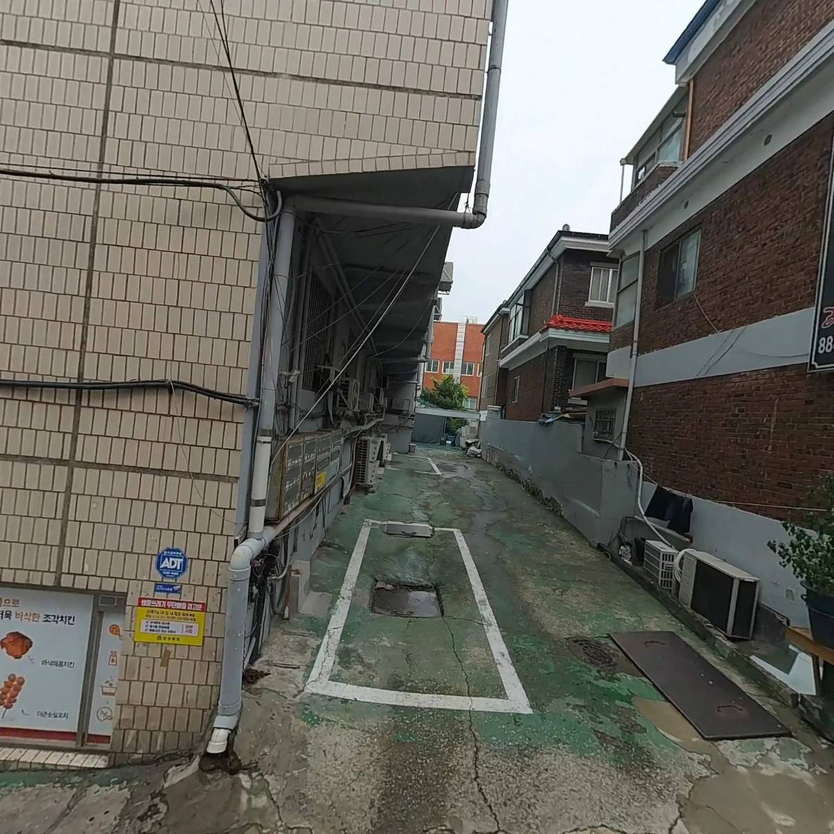 린디본즈