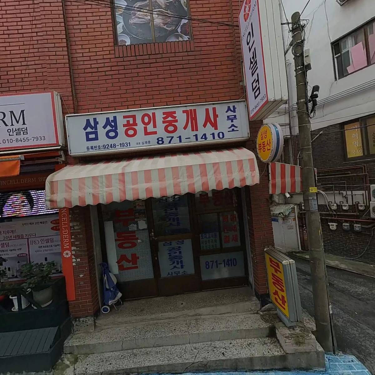 린디본즈_3