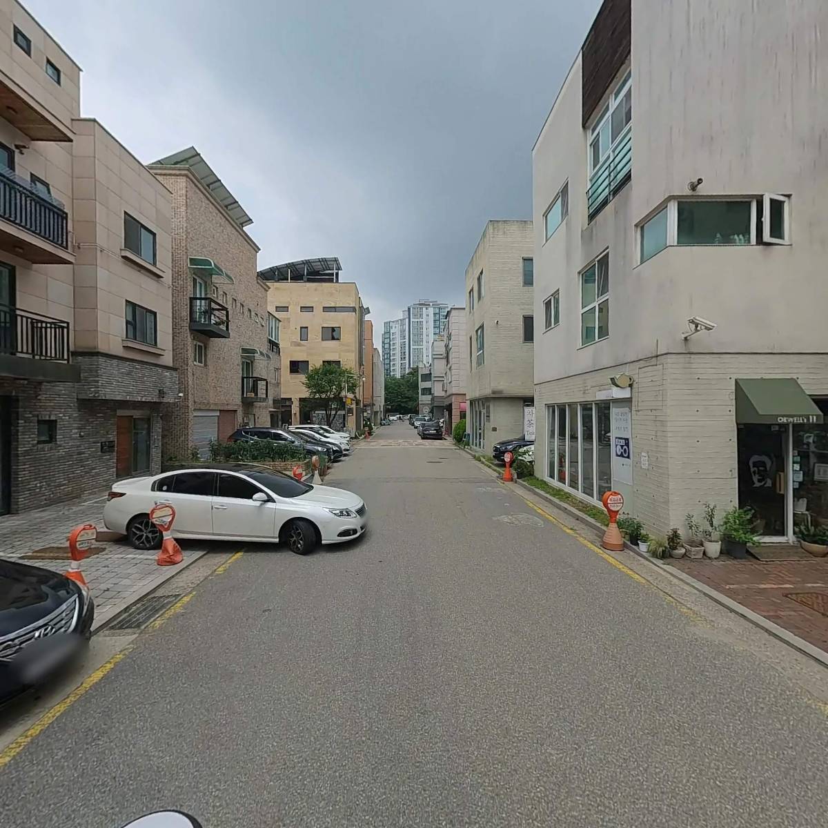 틴트라인_2