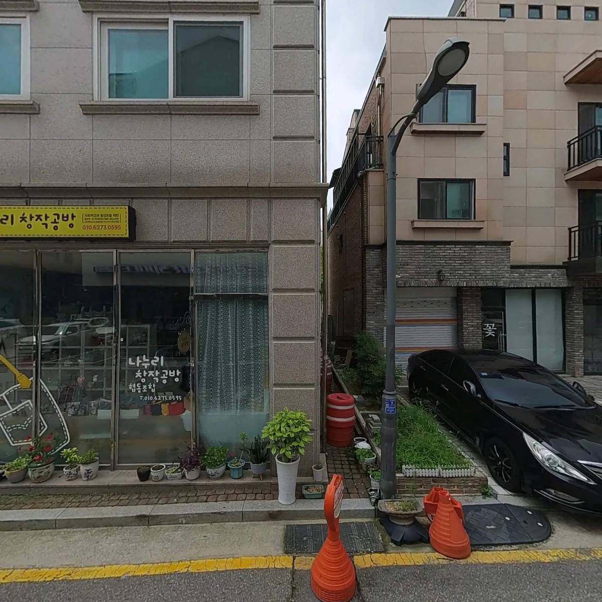틴트라인