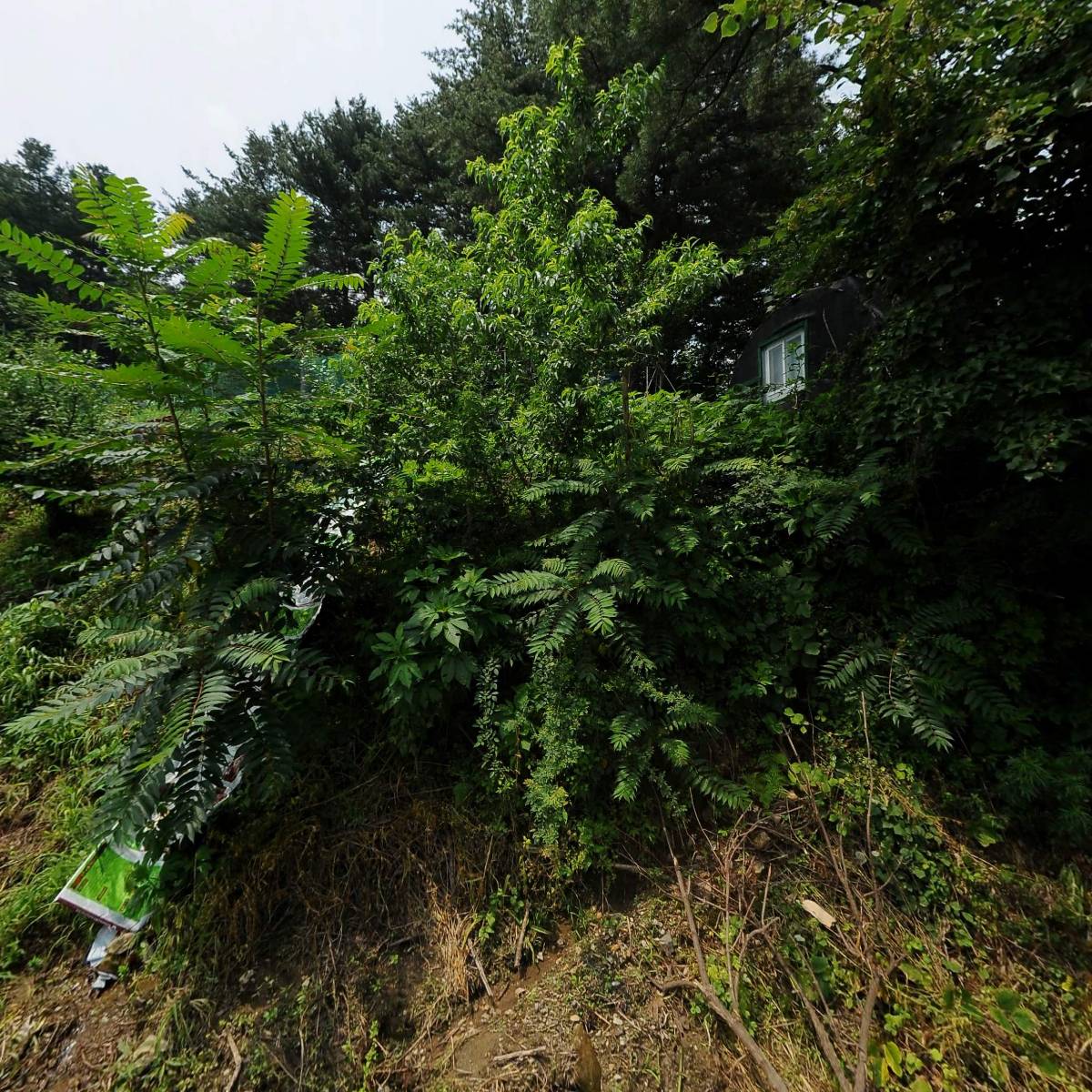 농업회사법인 정이가득주식회사