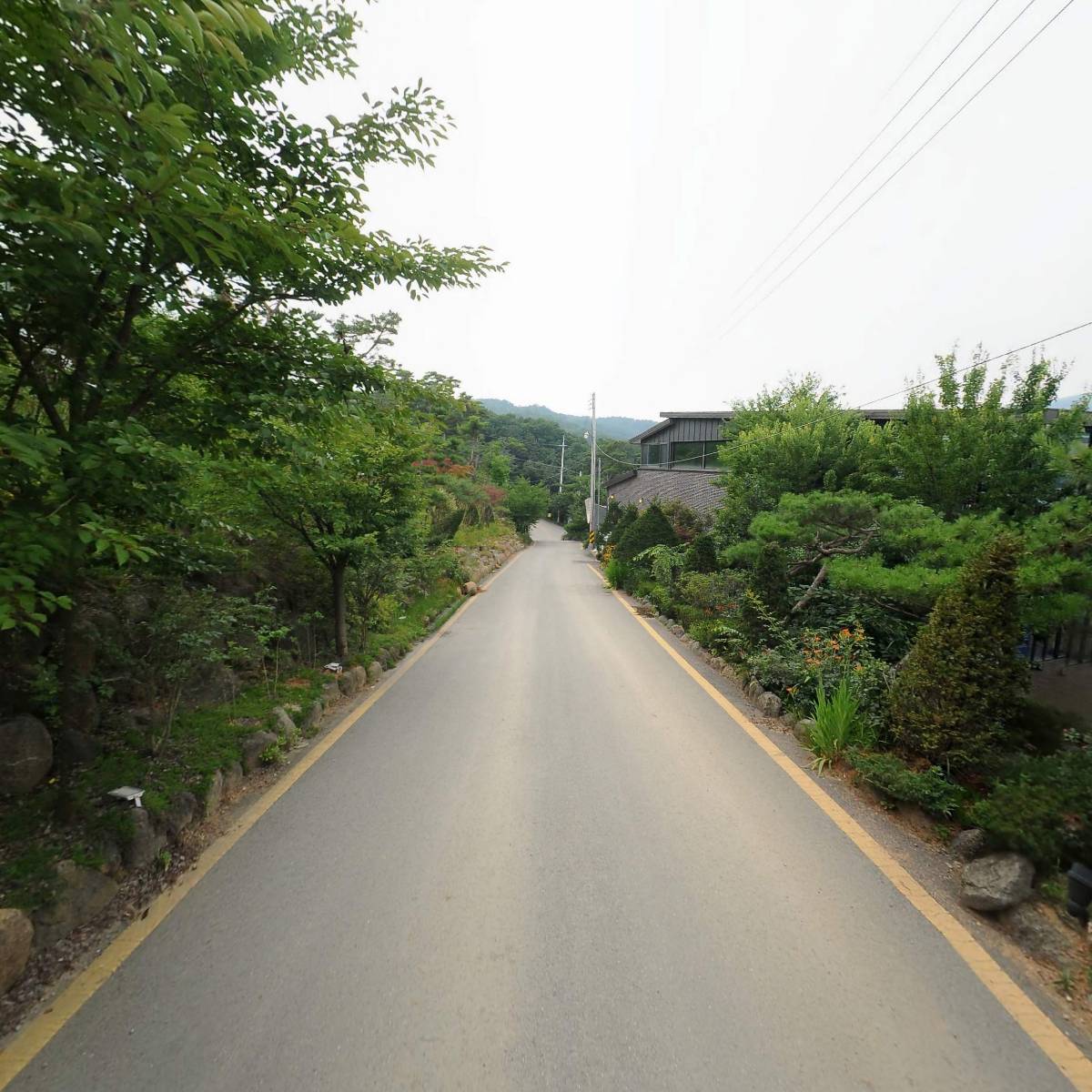 파인힐빌리지,파인힐커피하우스자반고파인힐점_2
