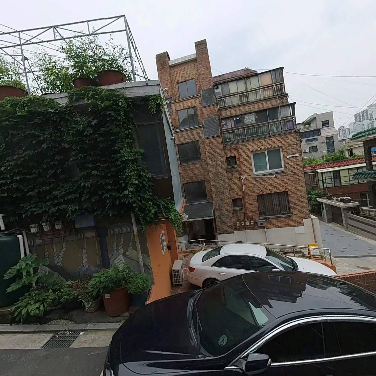 엠엠디디(MMDD)
