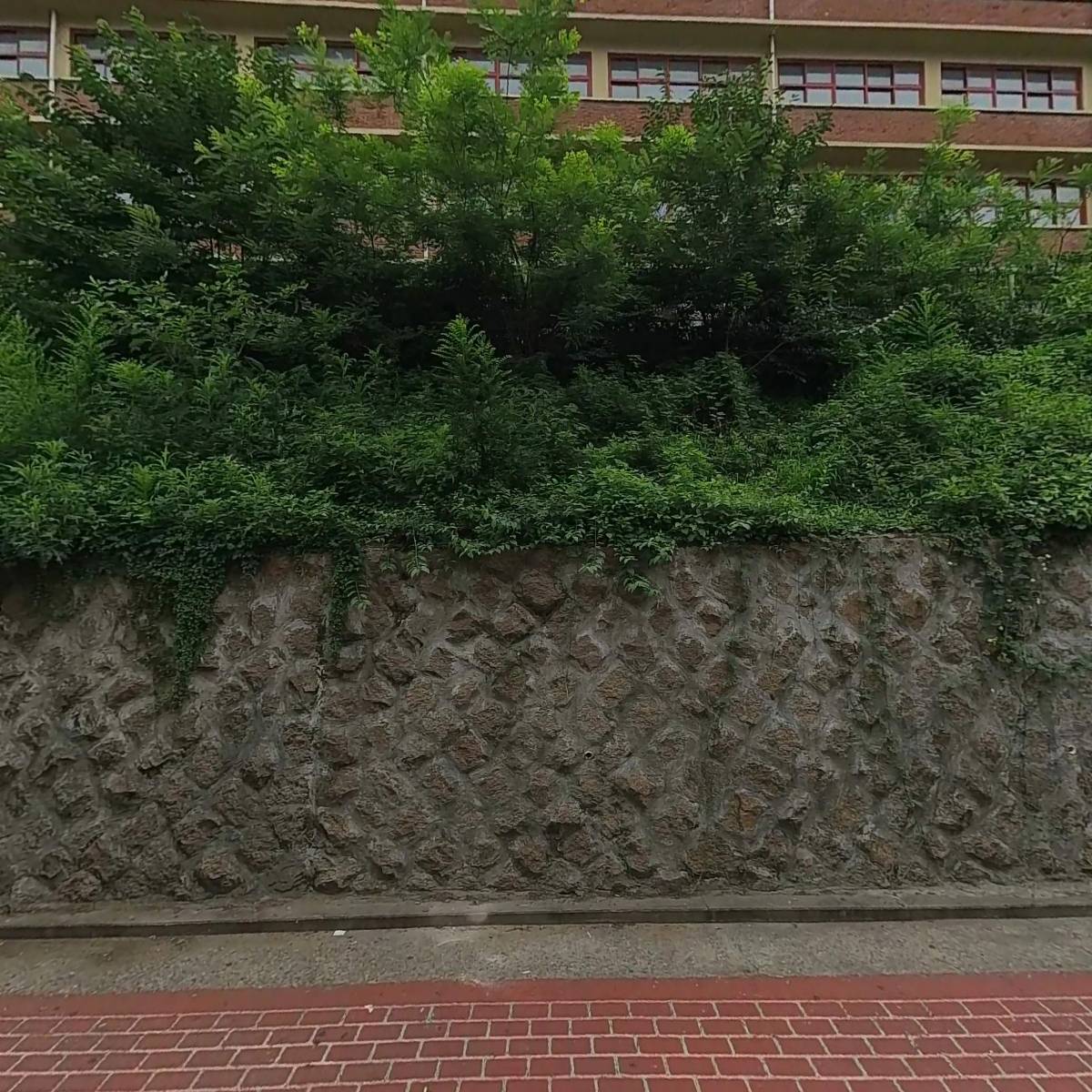 레자미오네뜨