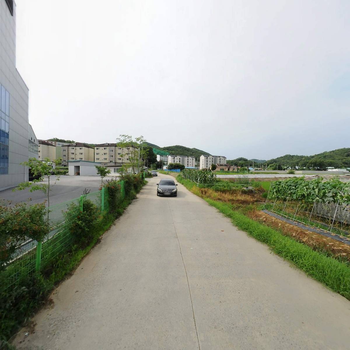 서울동경기인삼농협 이천인삼판매센터_2