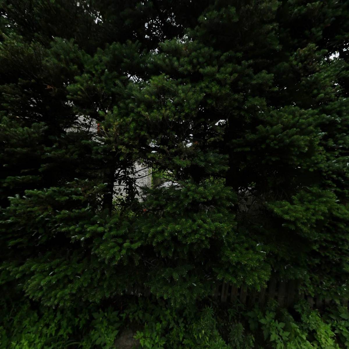 (주)미가인에프앤비_3