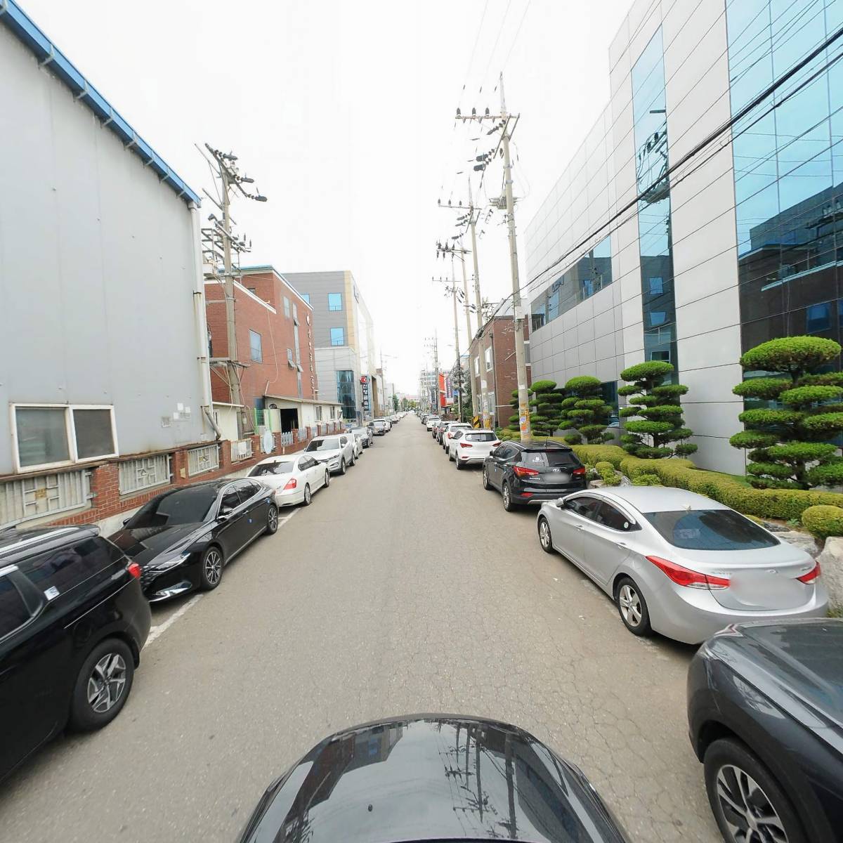 풍양바란싱_4