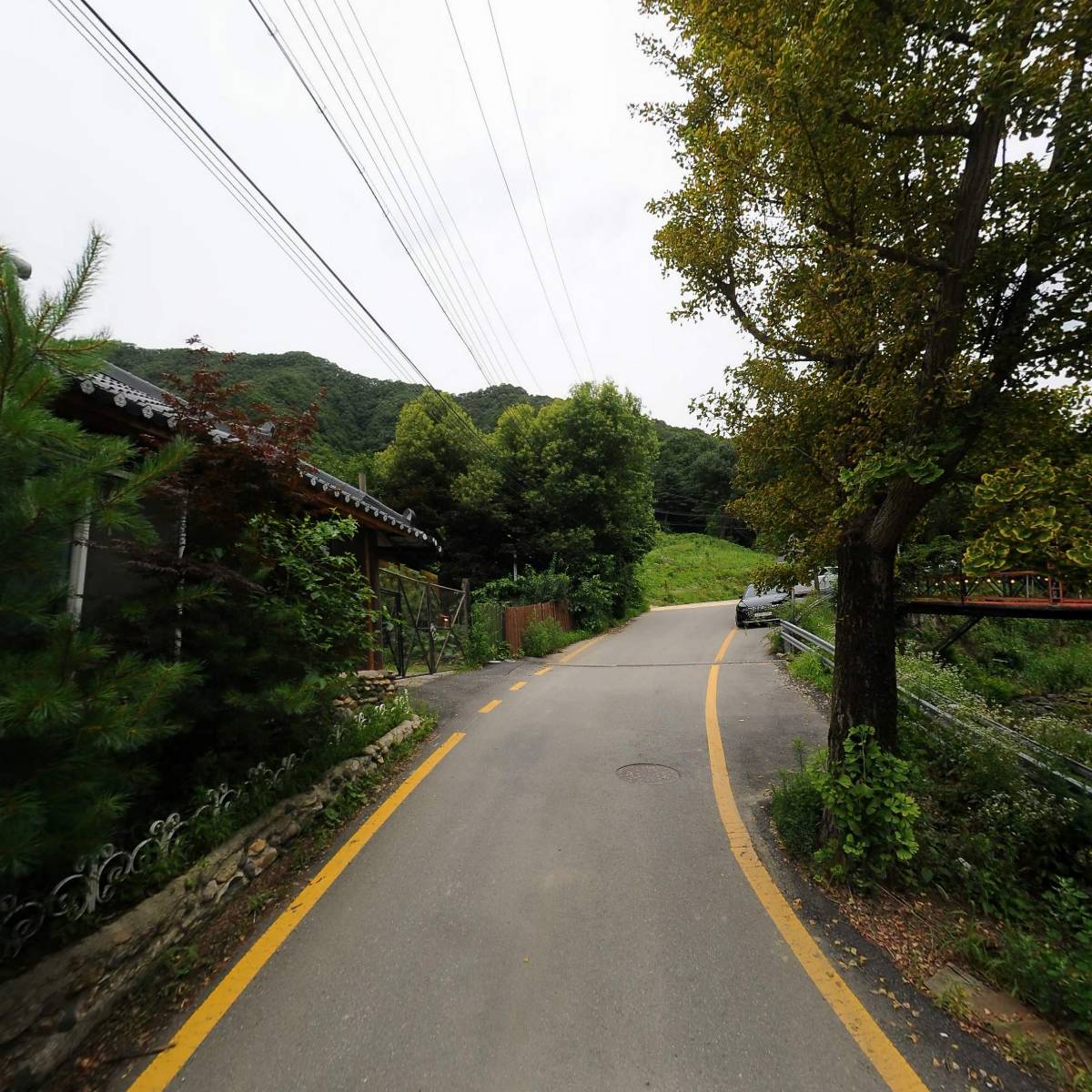산속비버스_2