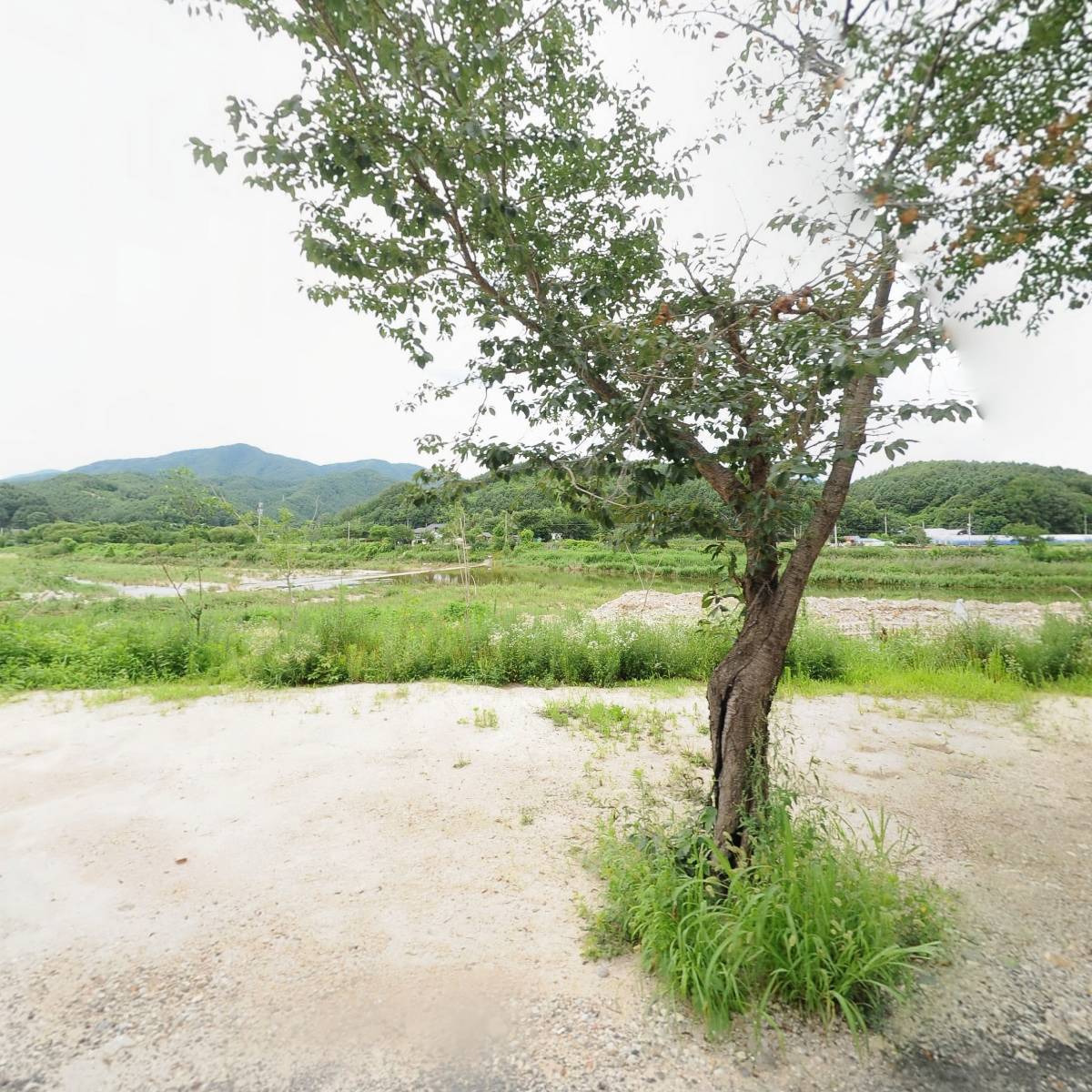 아이숲키즈풀빌라