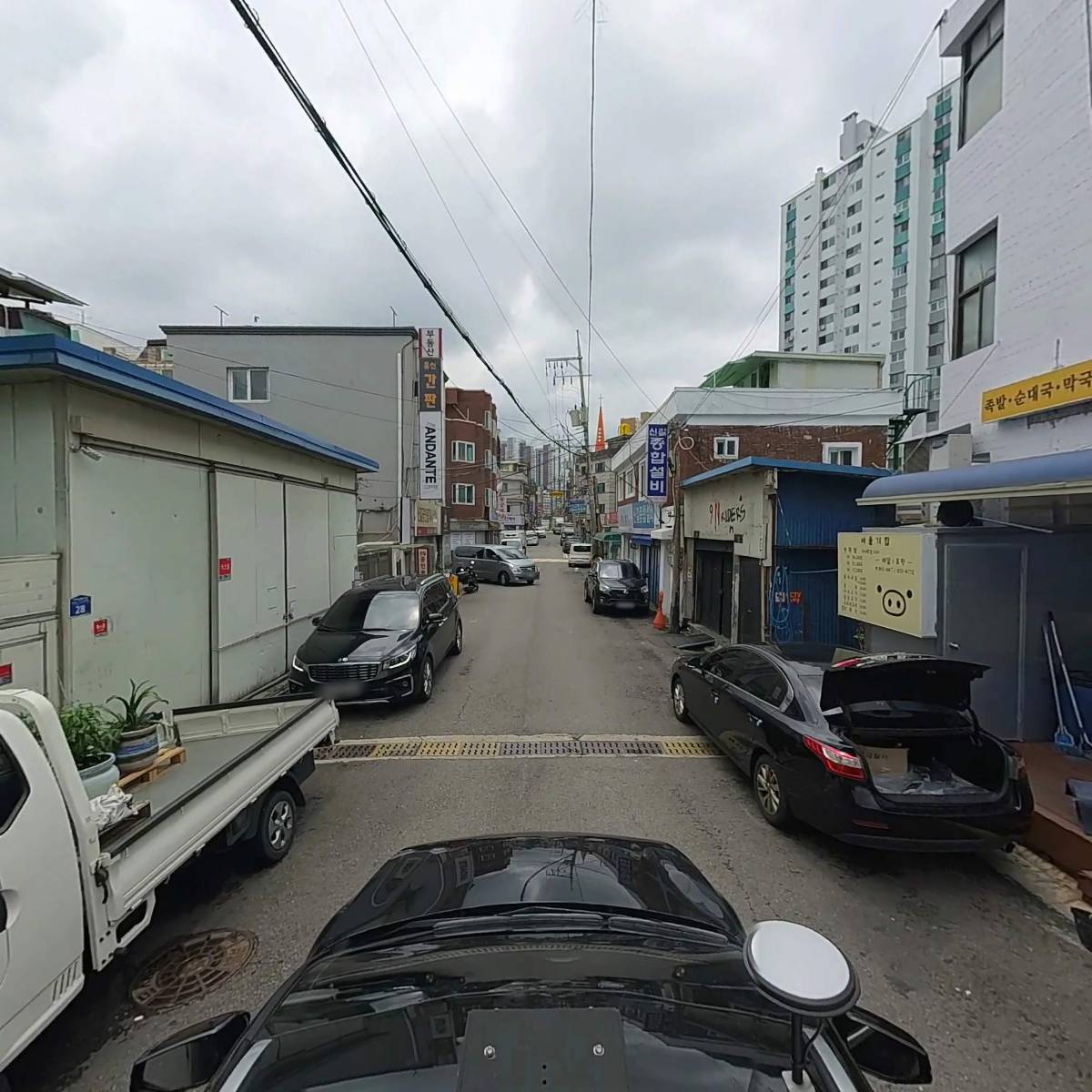 비둘기집_4