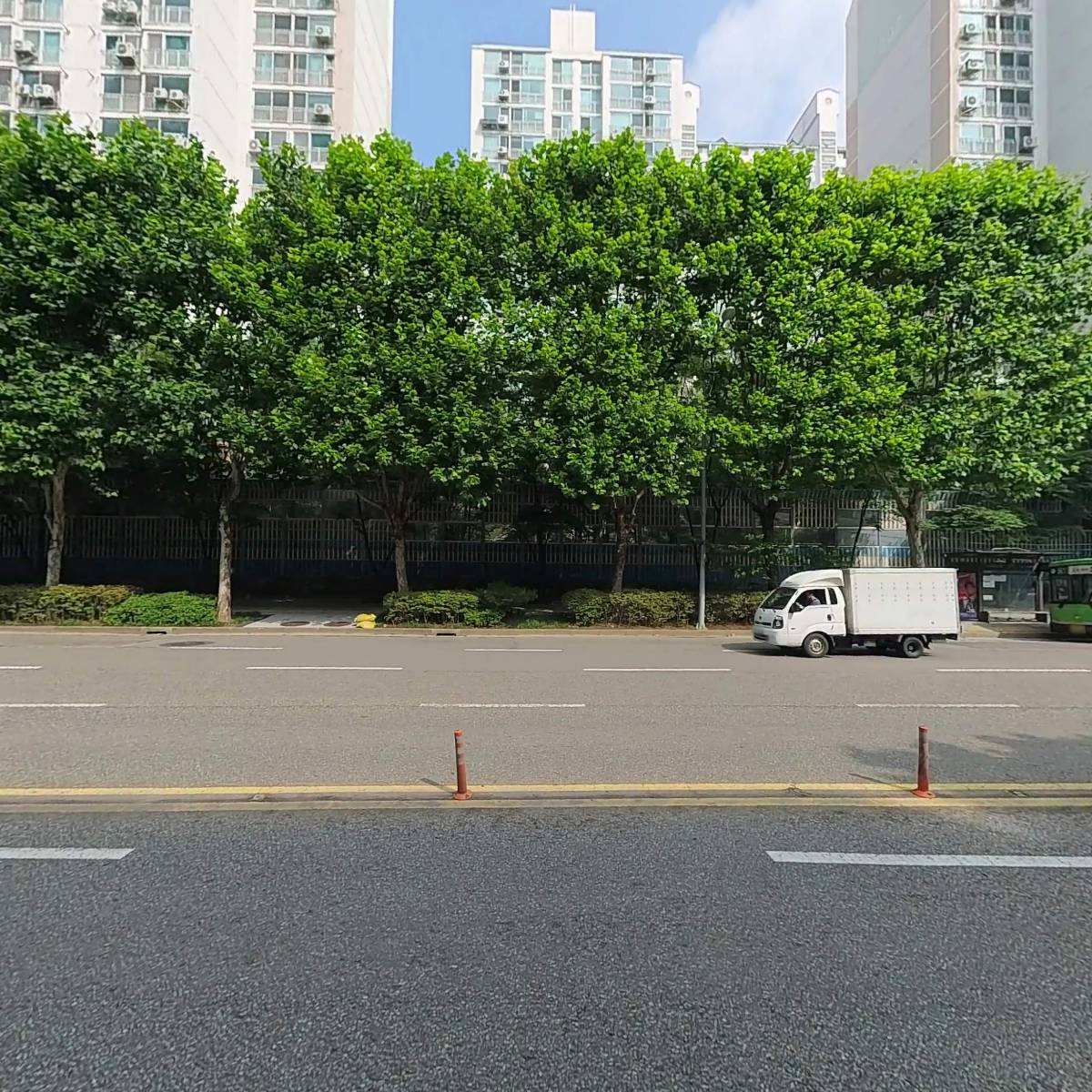 빠니스비떼_3