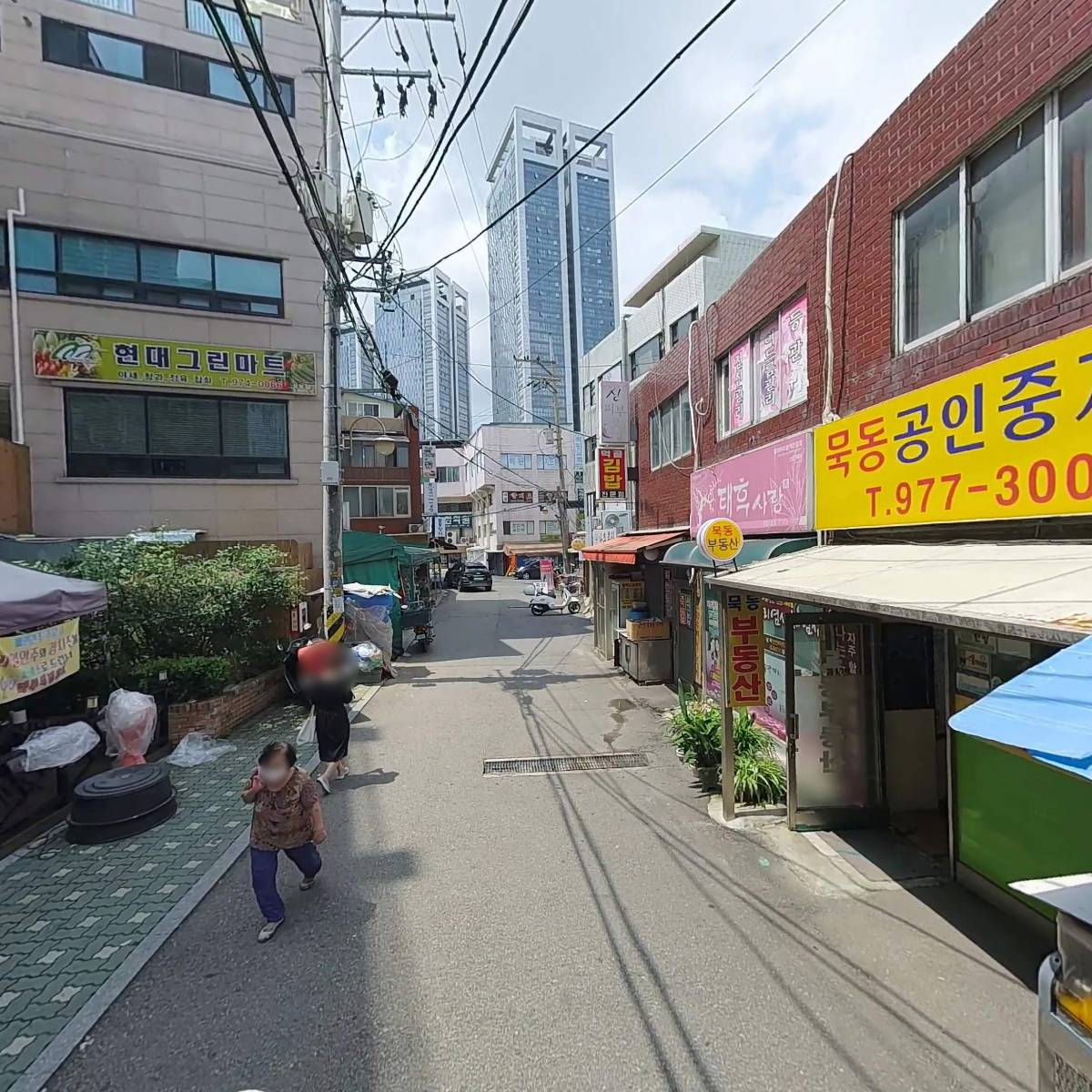 위즈덤80(wisdom80)_2