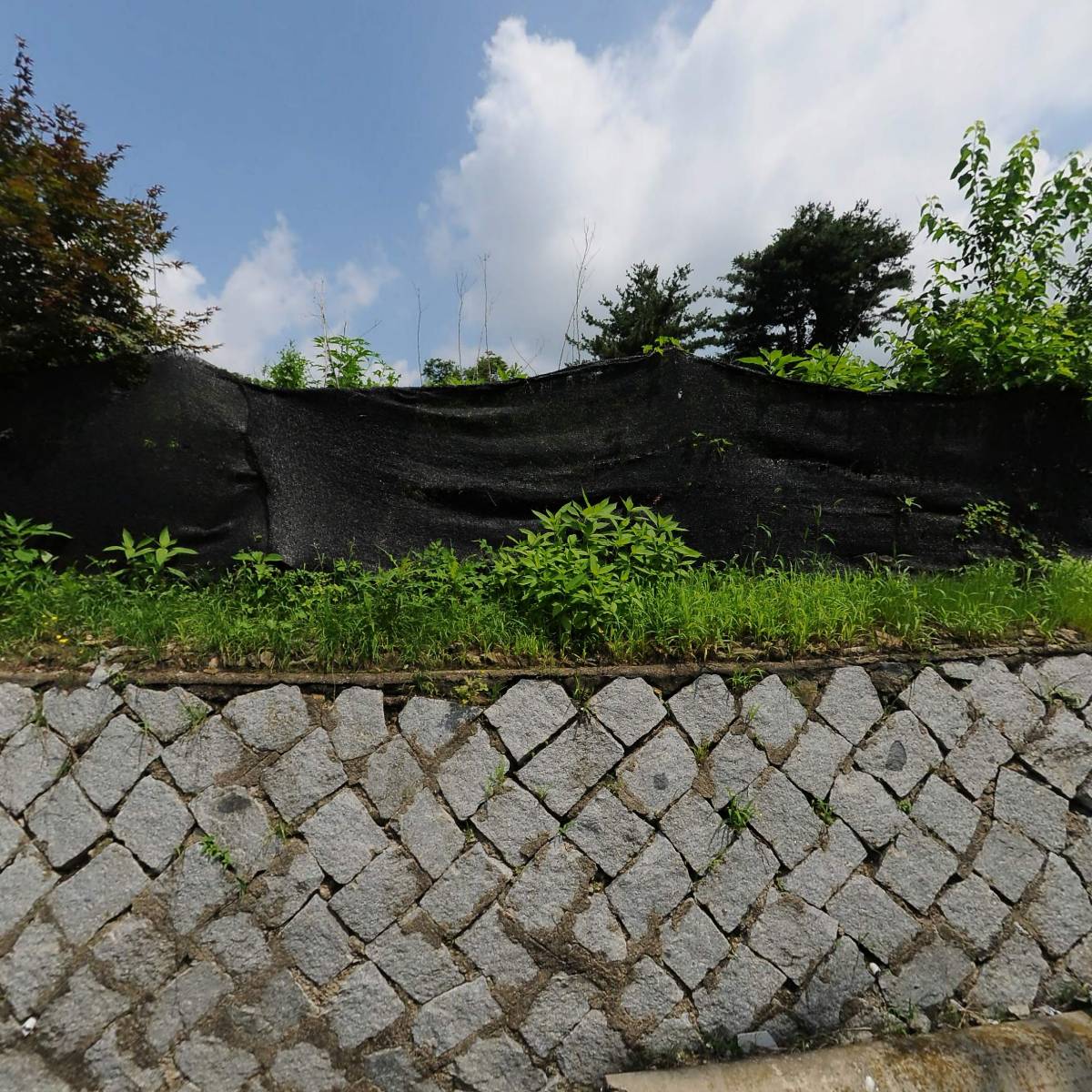 파란하늘어린이집_3