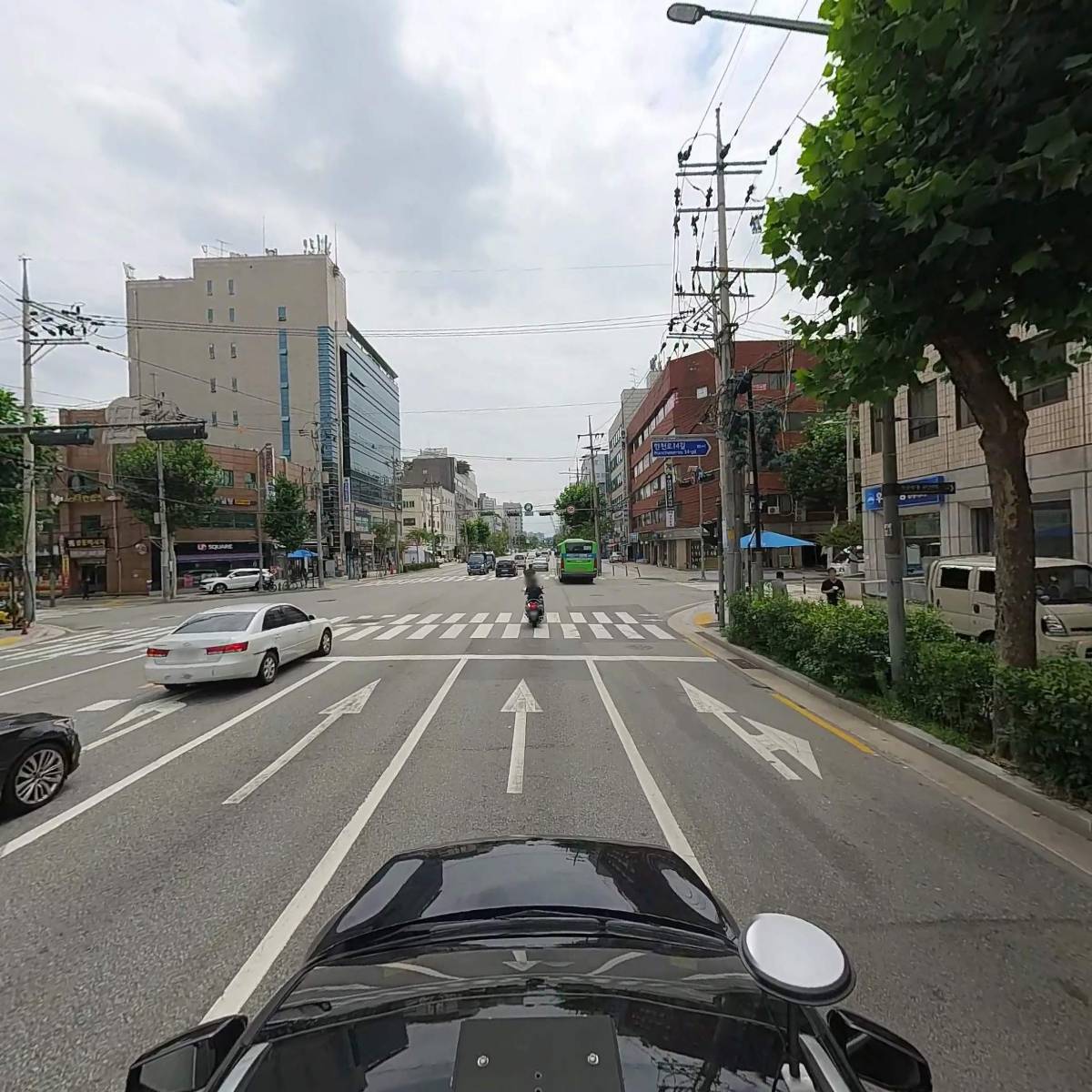 브이아이피(VIP) 동물의료센터 동대문점_4