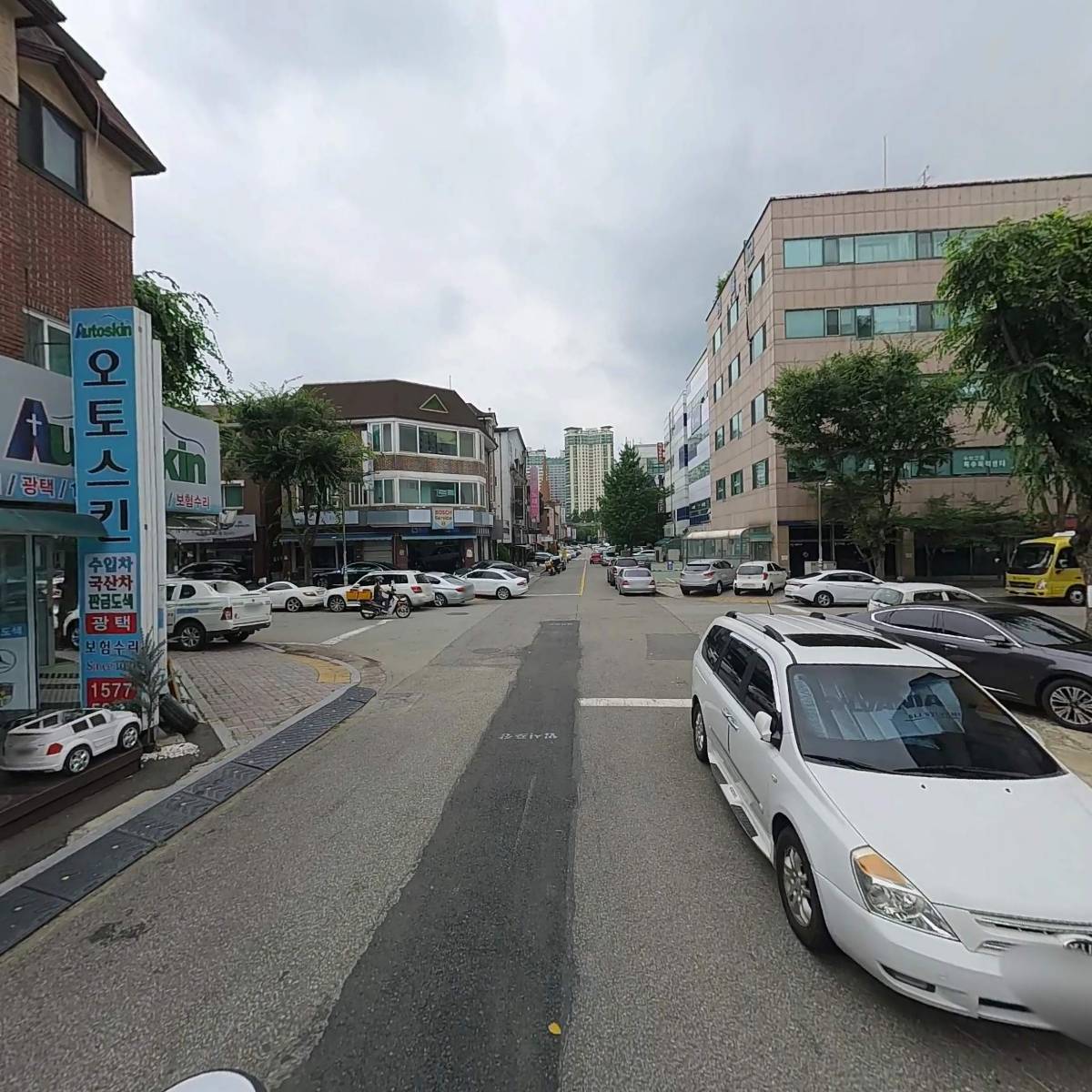 오토스킨_2