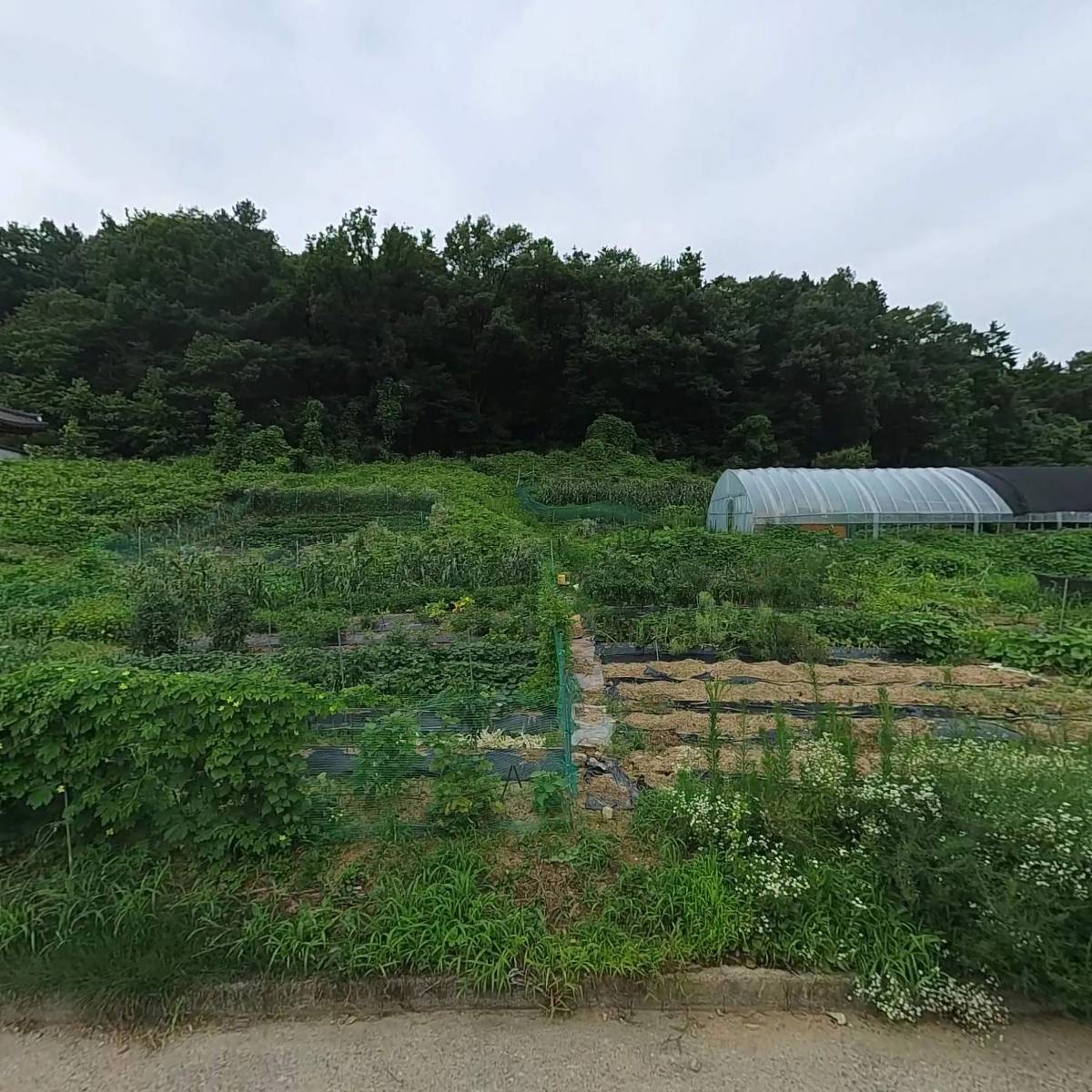 (주)발트코리아_3