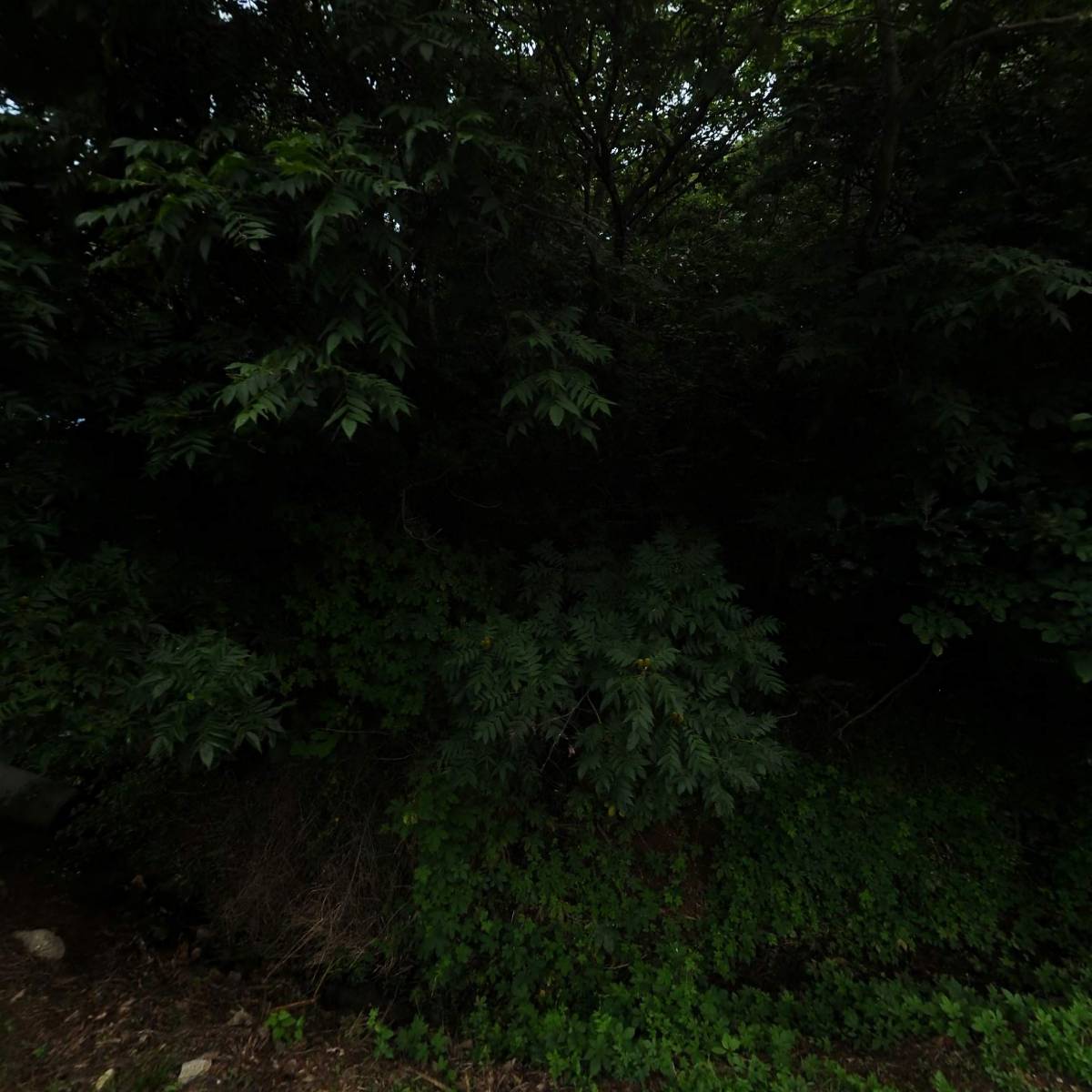 인천보라매아동센터