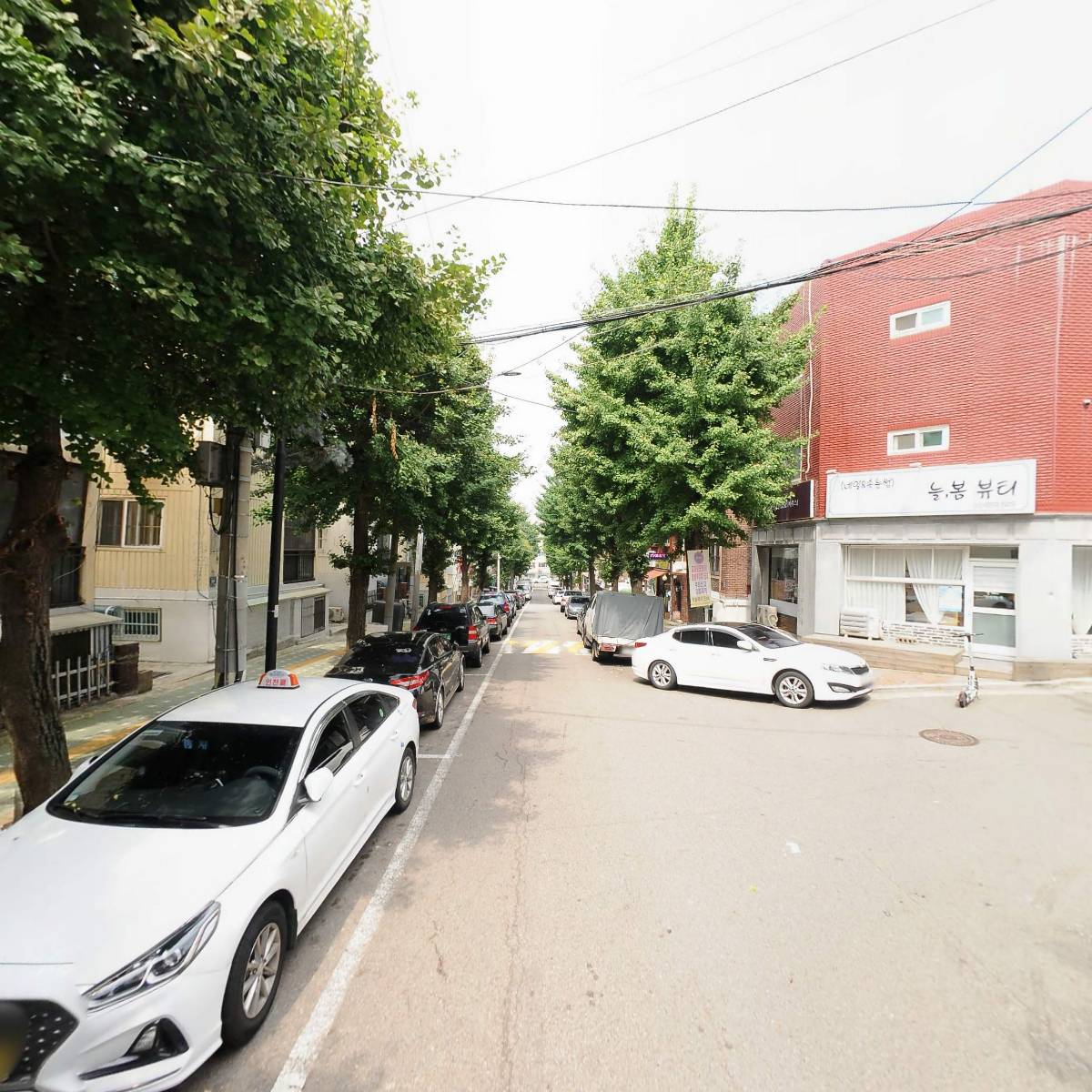 오리마당돼지천하_2