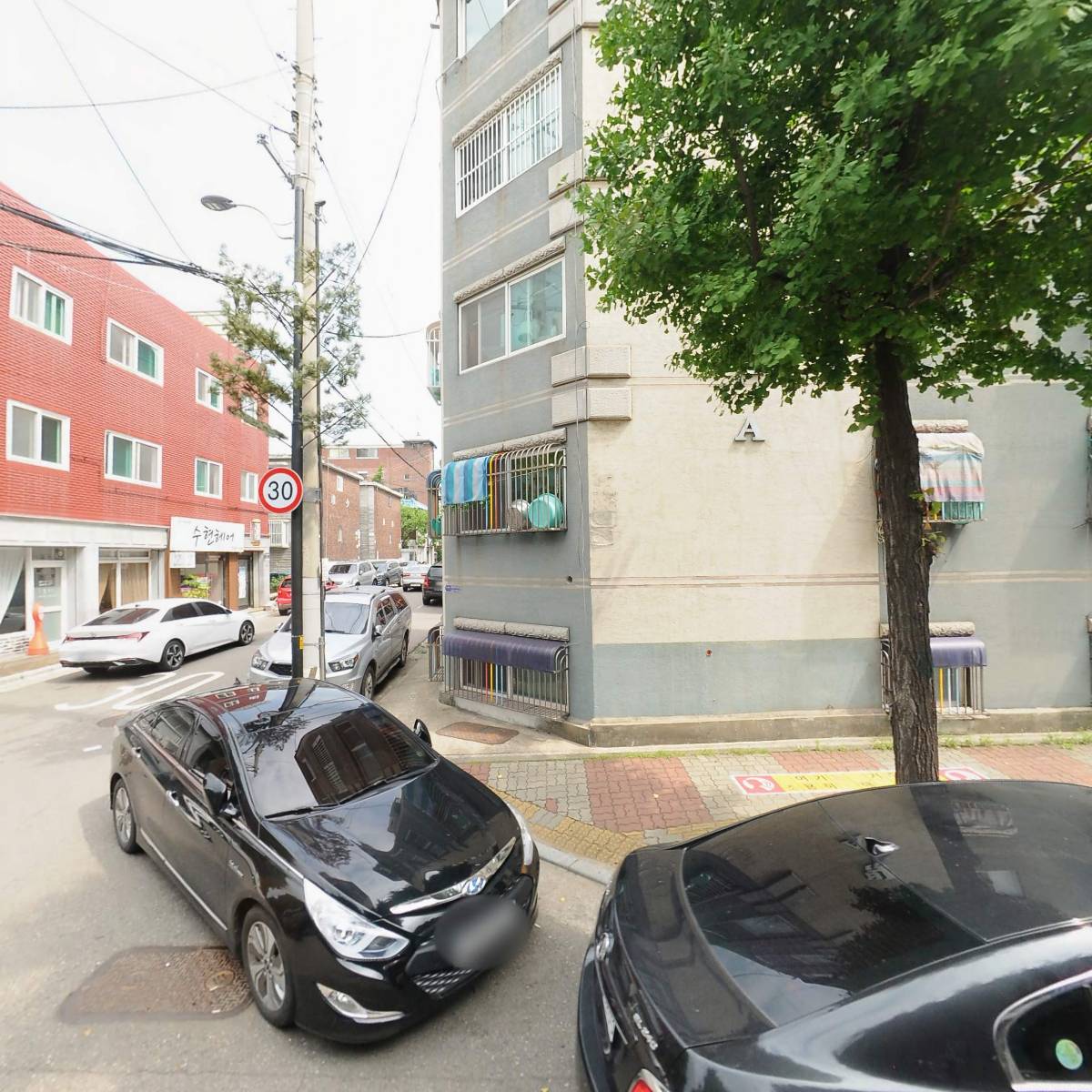 오리마당돼지천하_3