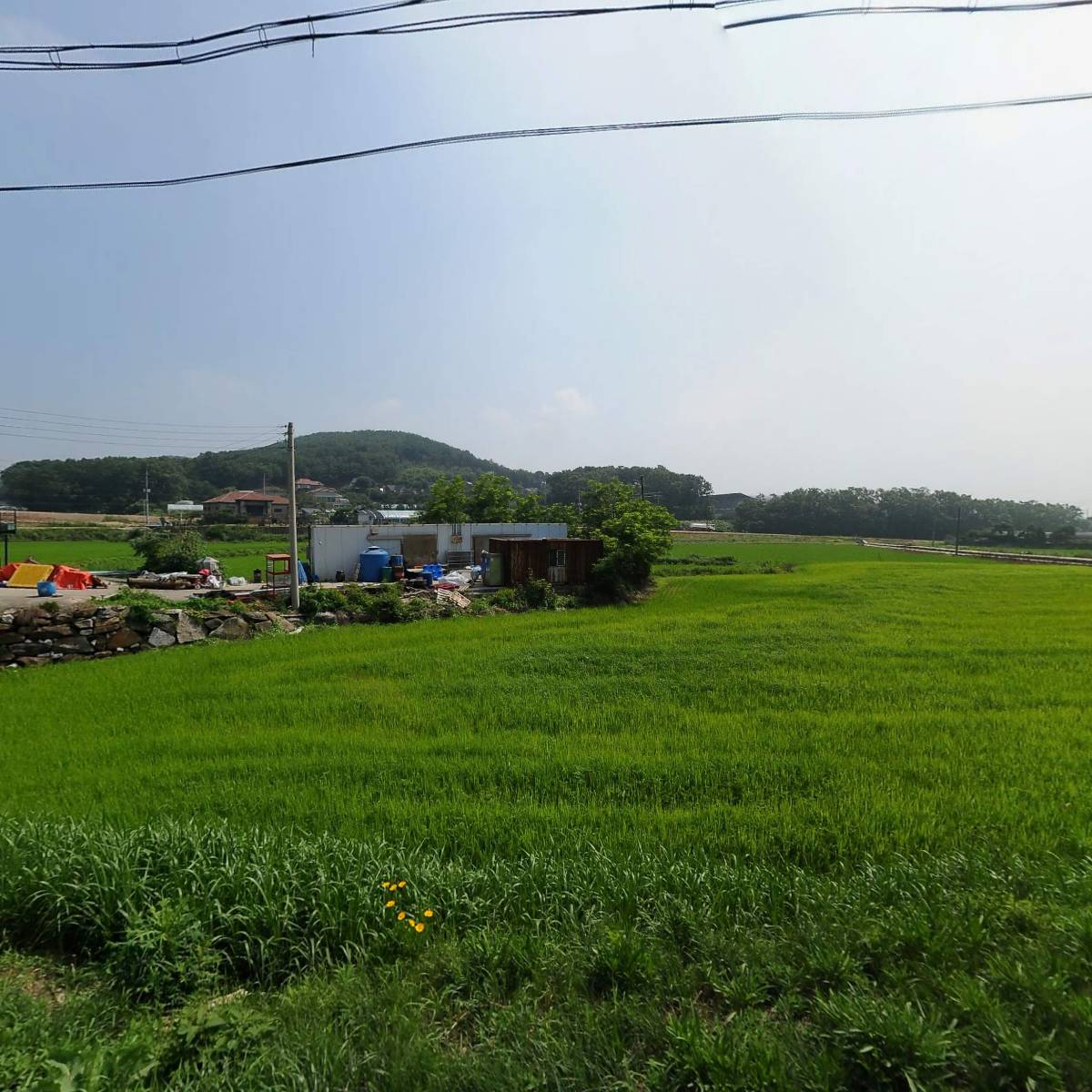 약석원농업회사법인