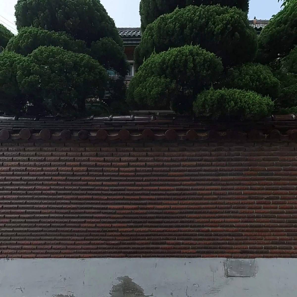 주식회사 더레이어플러스