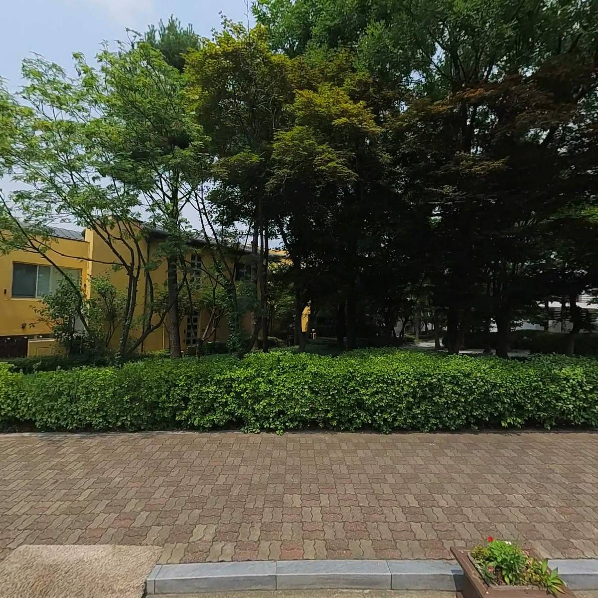 라콜렉시옹